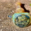 Small image 5