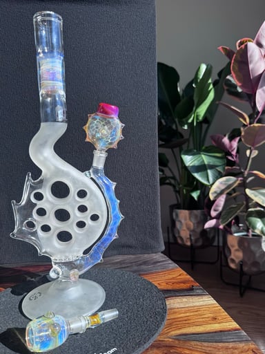 Preview pic of Swissperc x Ease
