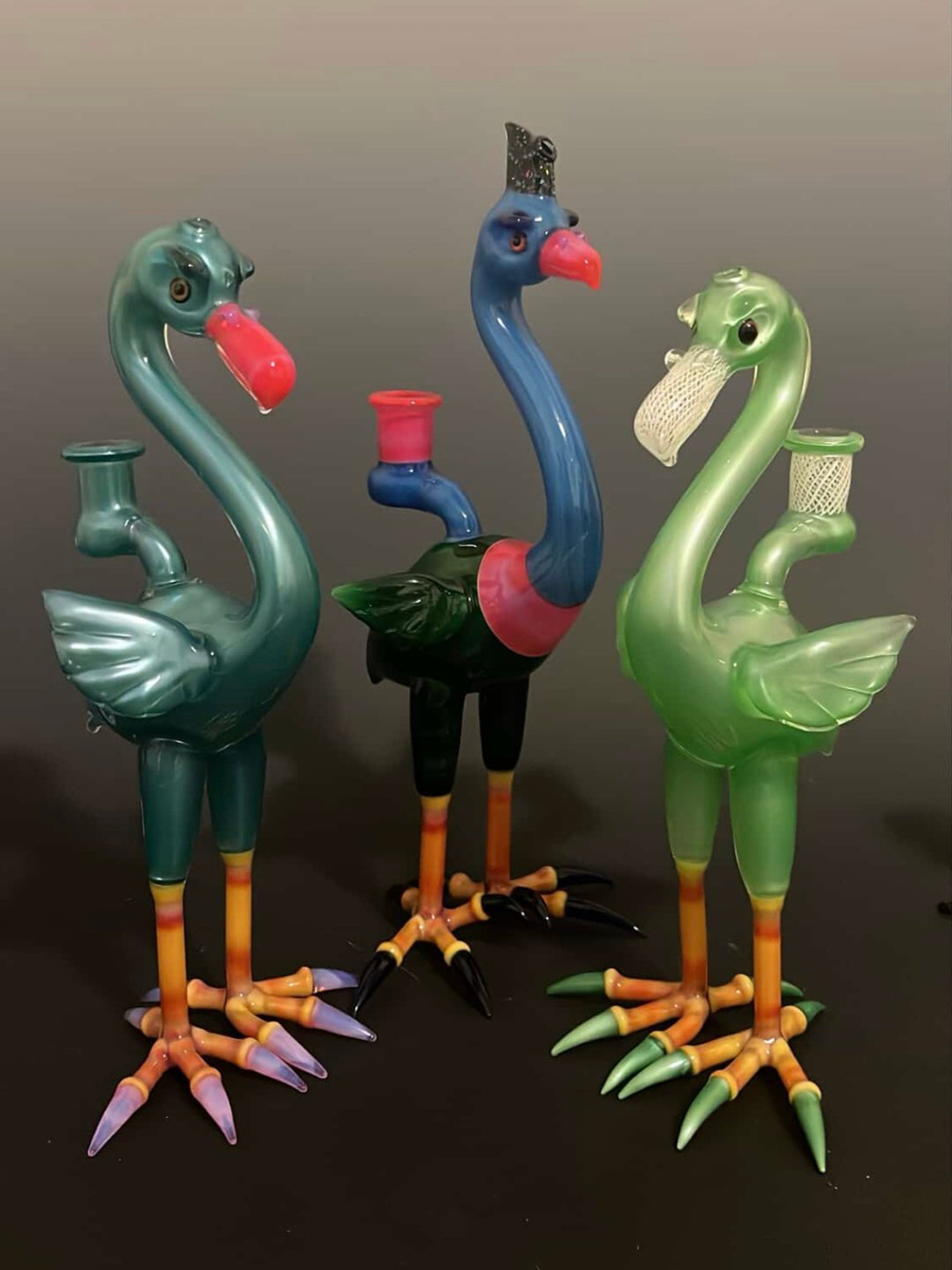 1/1 Burtoni Flamingos looking for offers image 0