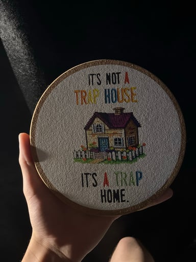 Preview pic of “It’s not a trap house it’s a trap home”