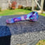 Small image 5