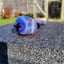 Small image 4