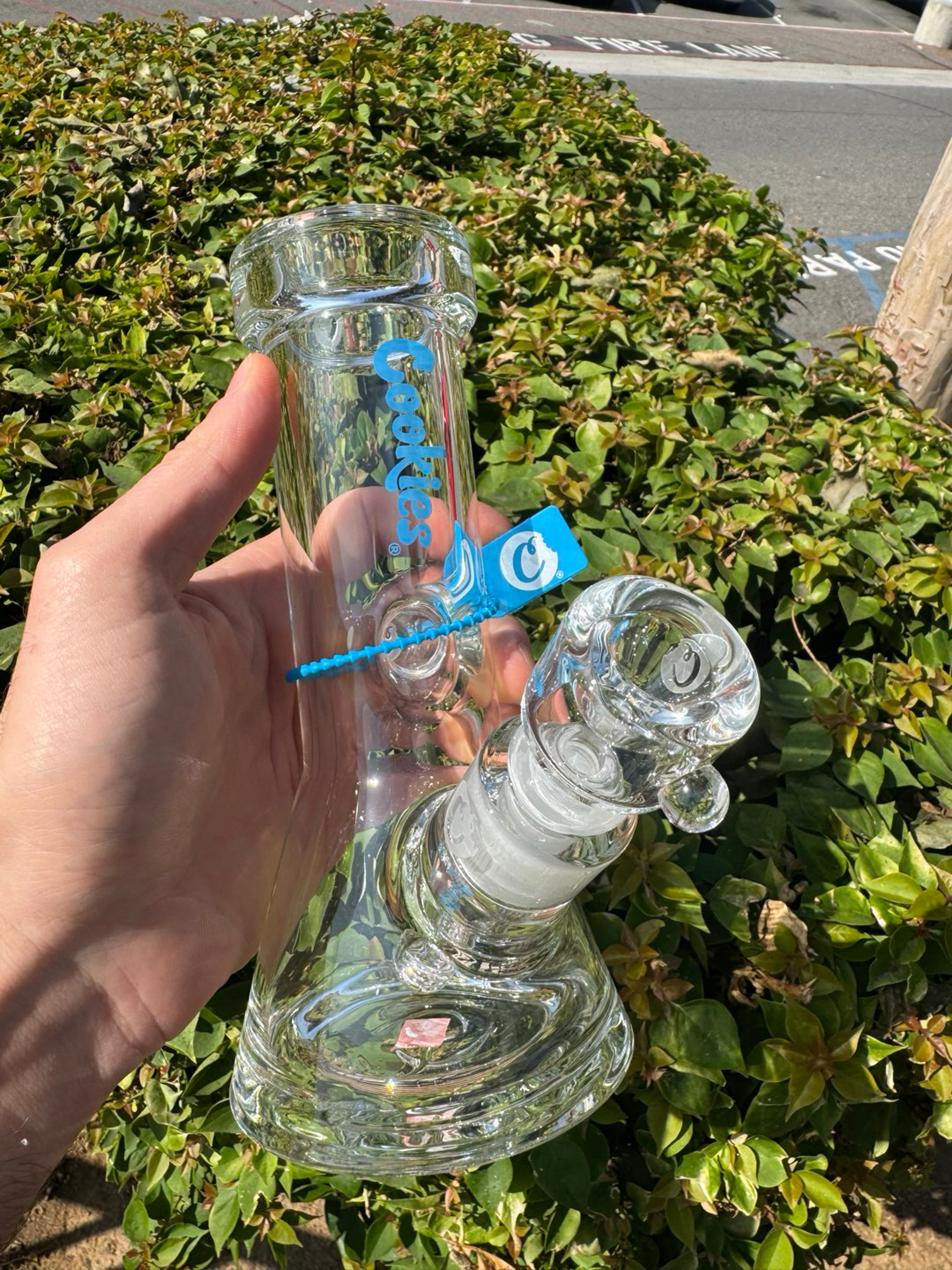 Preview pic of Cookies might mini clear