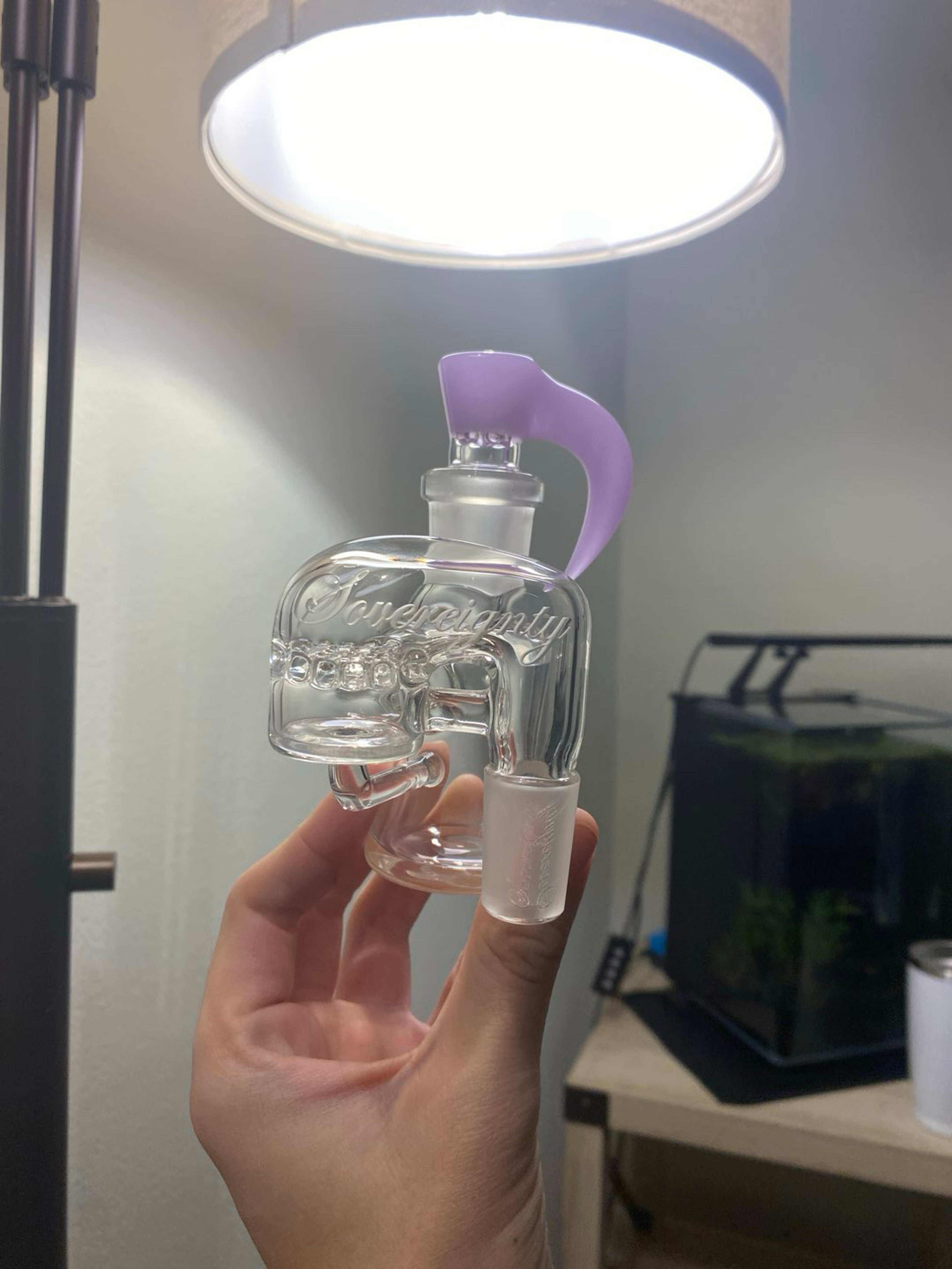 Preview pic of Sov bundle reserved for terp_dino_