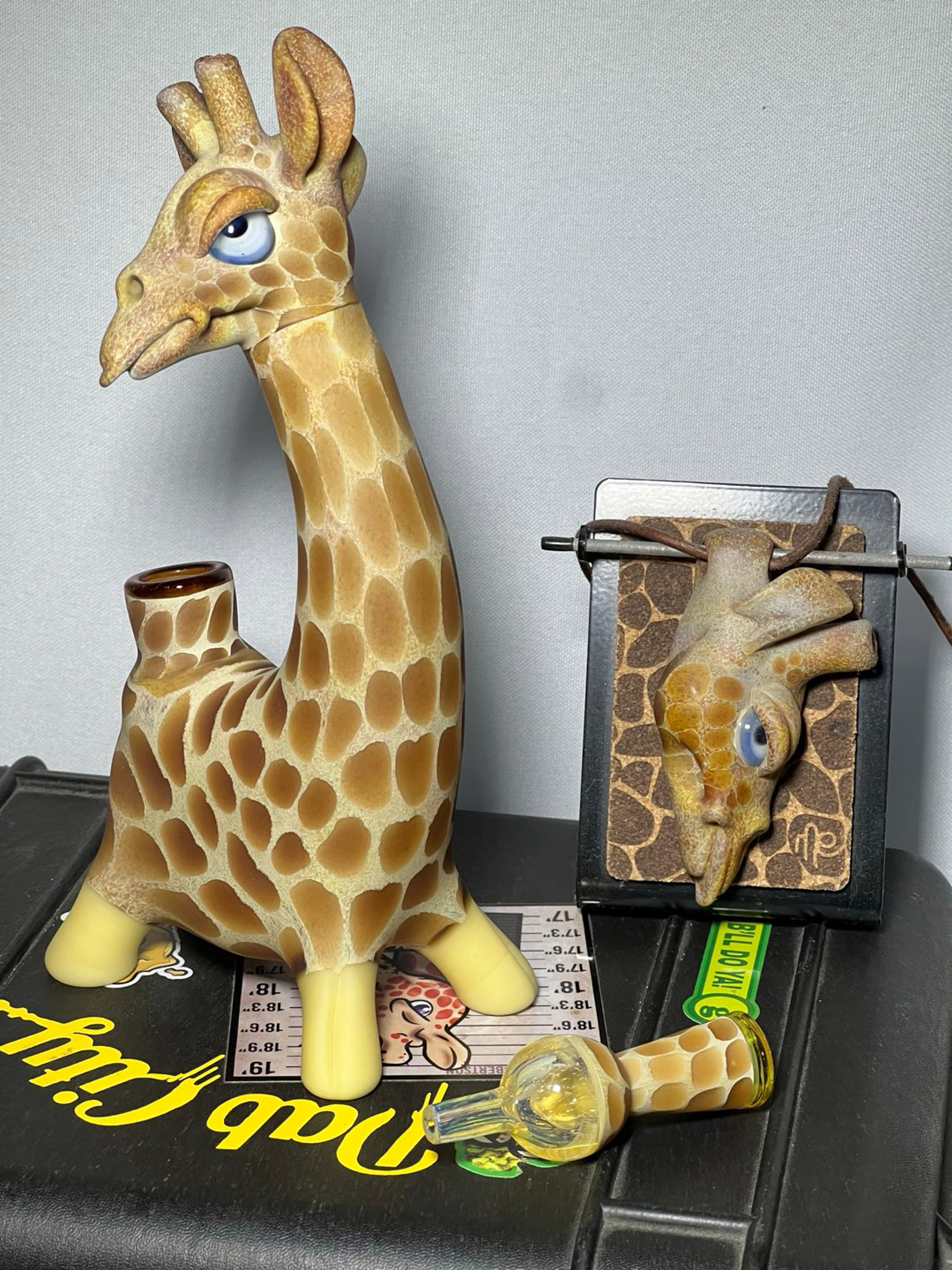 Preview pic of Robertson