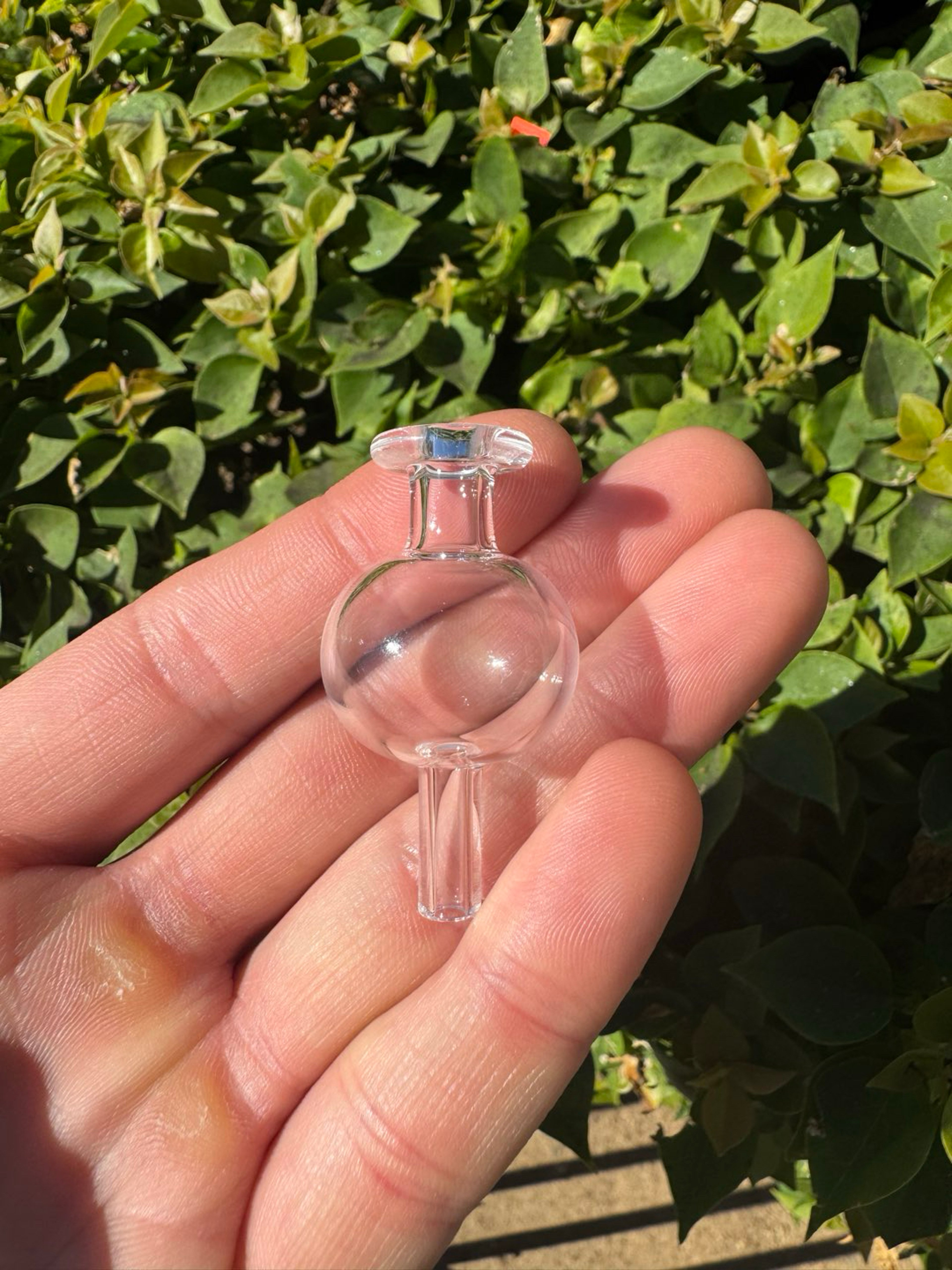 Preview pic of Joel halen 25mm bubble cap