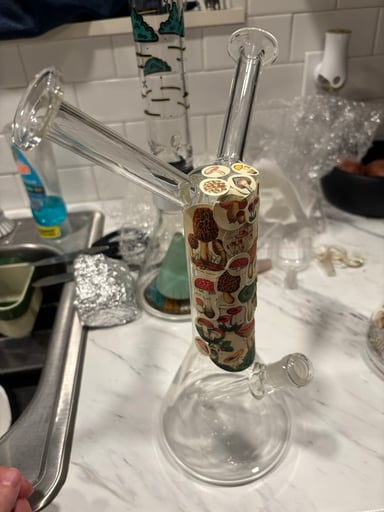 Preview pic of Dual mouthoiece bong