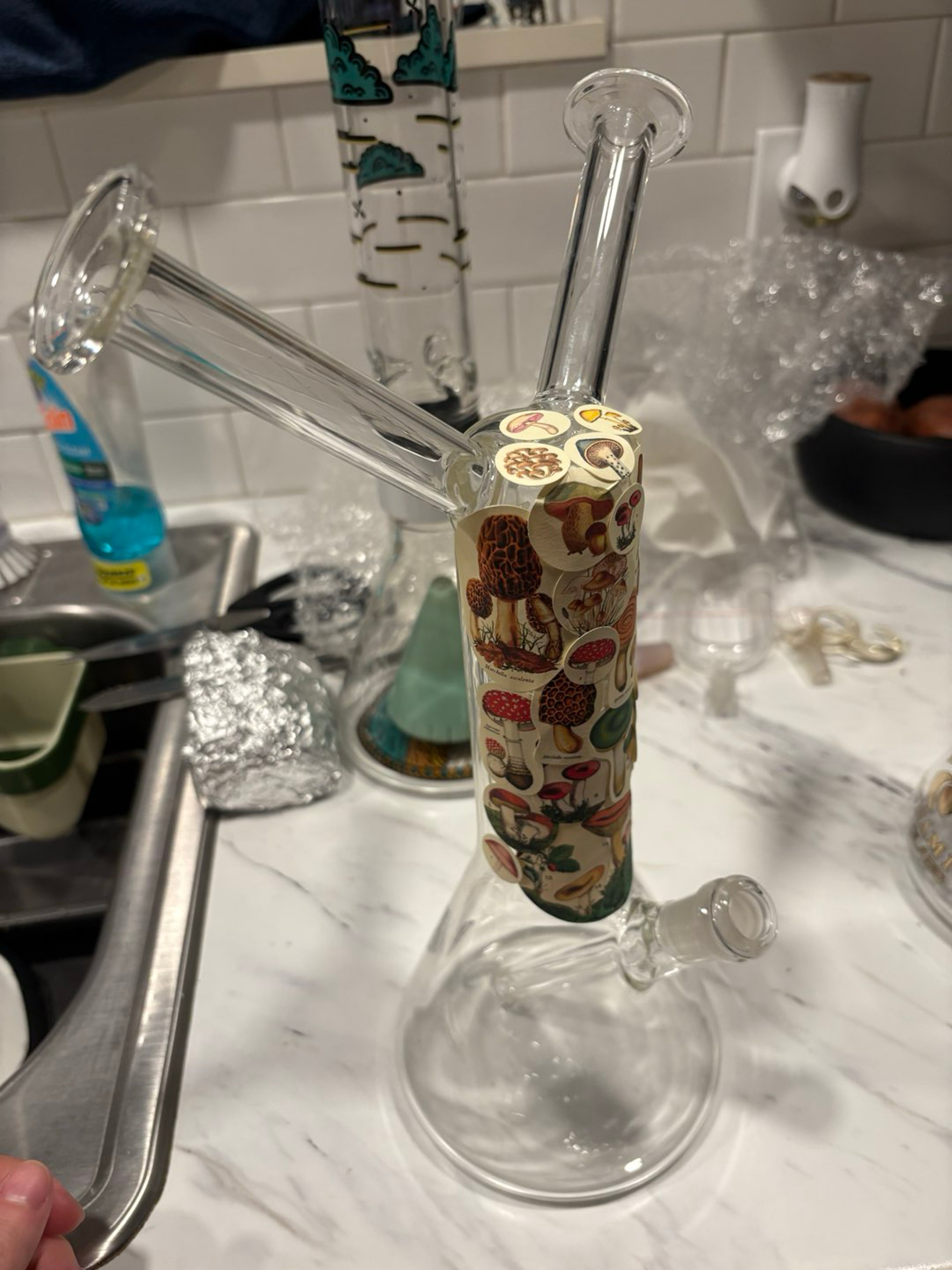 Preview pic of Dual mouthoiece bong