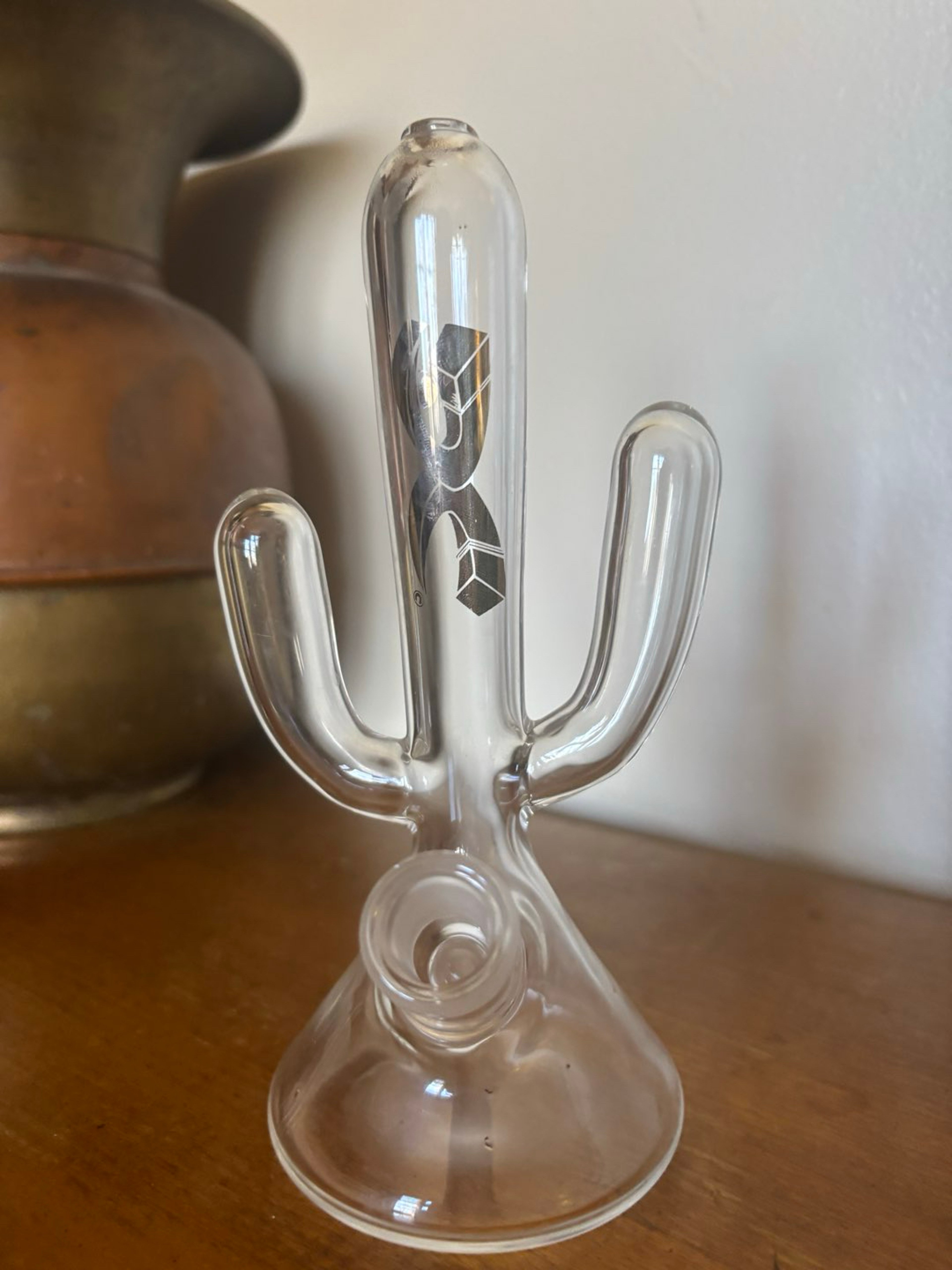 Preview pic of Darby Cactus