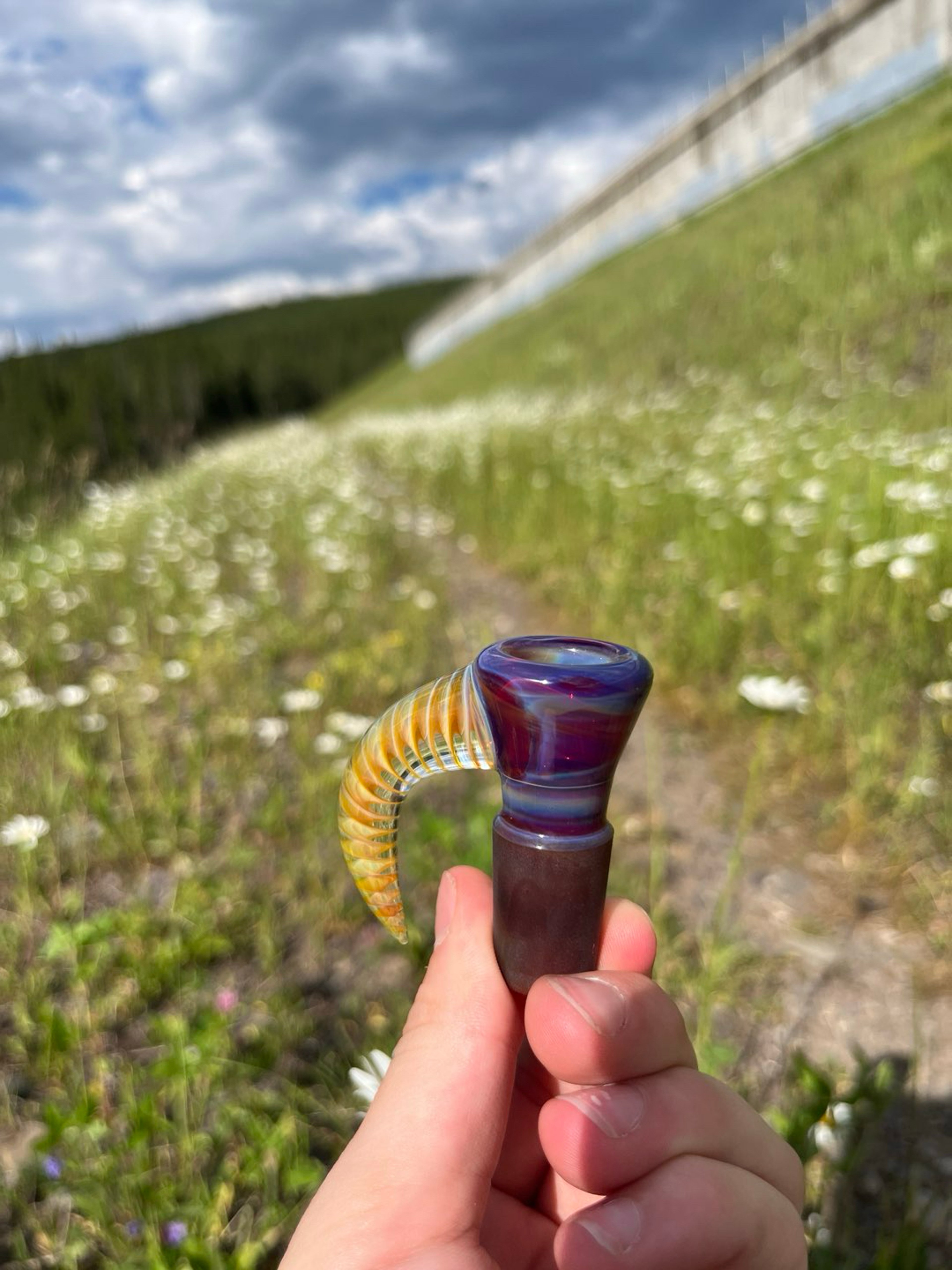 Preview pic of Shamby Fully Colored AP Slide