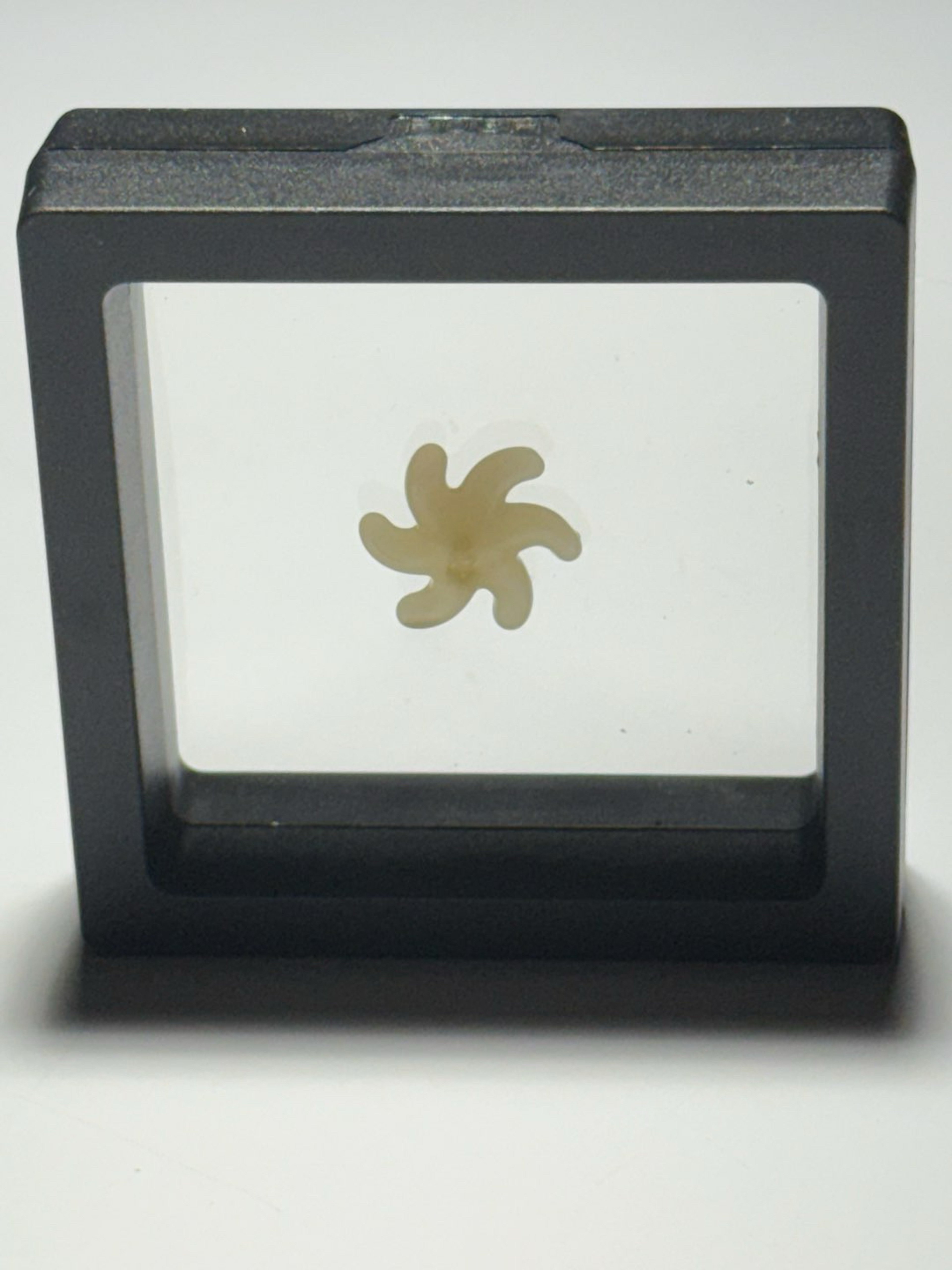 Terp Spinner for 25mm Bucket image 0