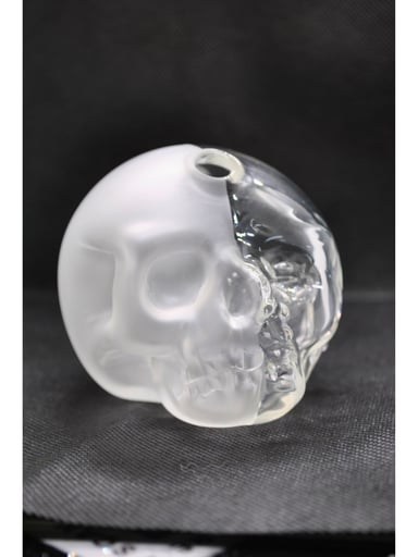 Preview pic of Half Life Skull
