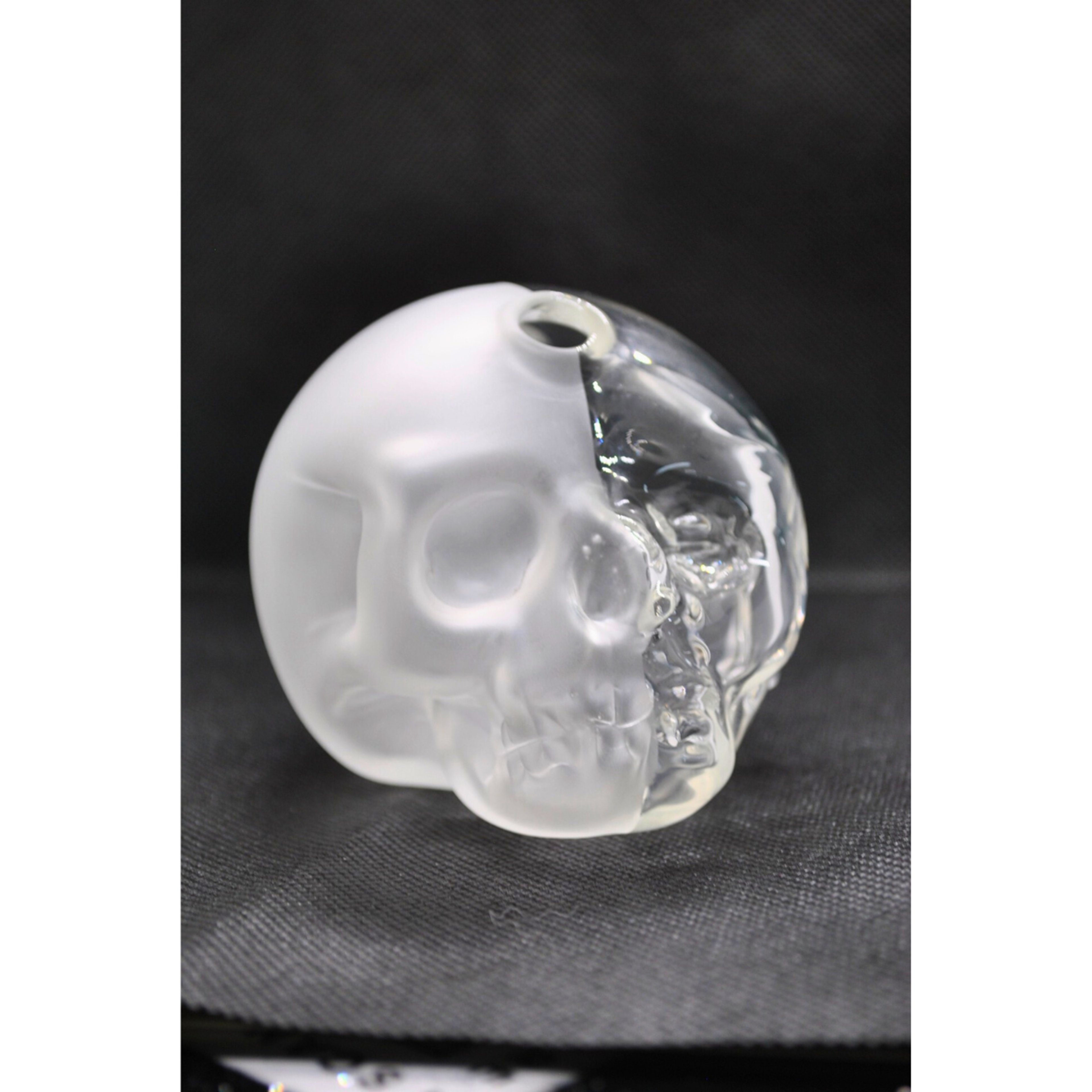 Preview pic of Half Life Skull