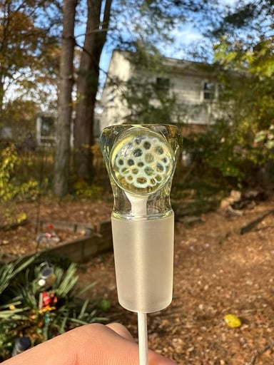 Preview pic of 18mm slide with Millie