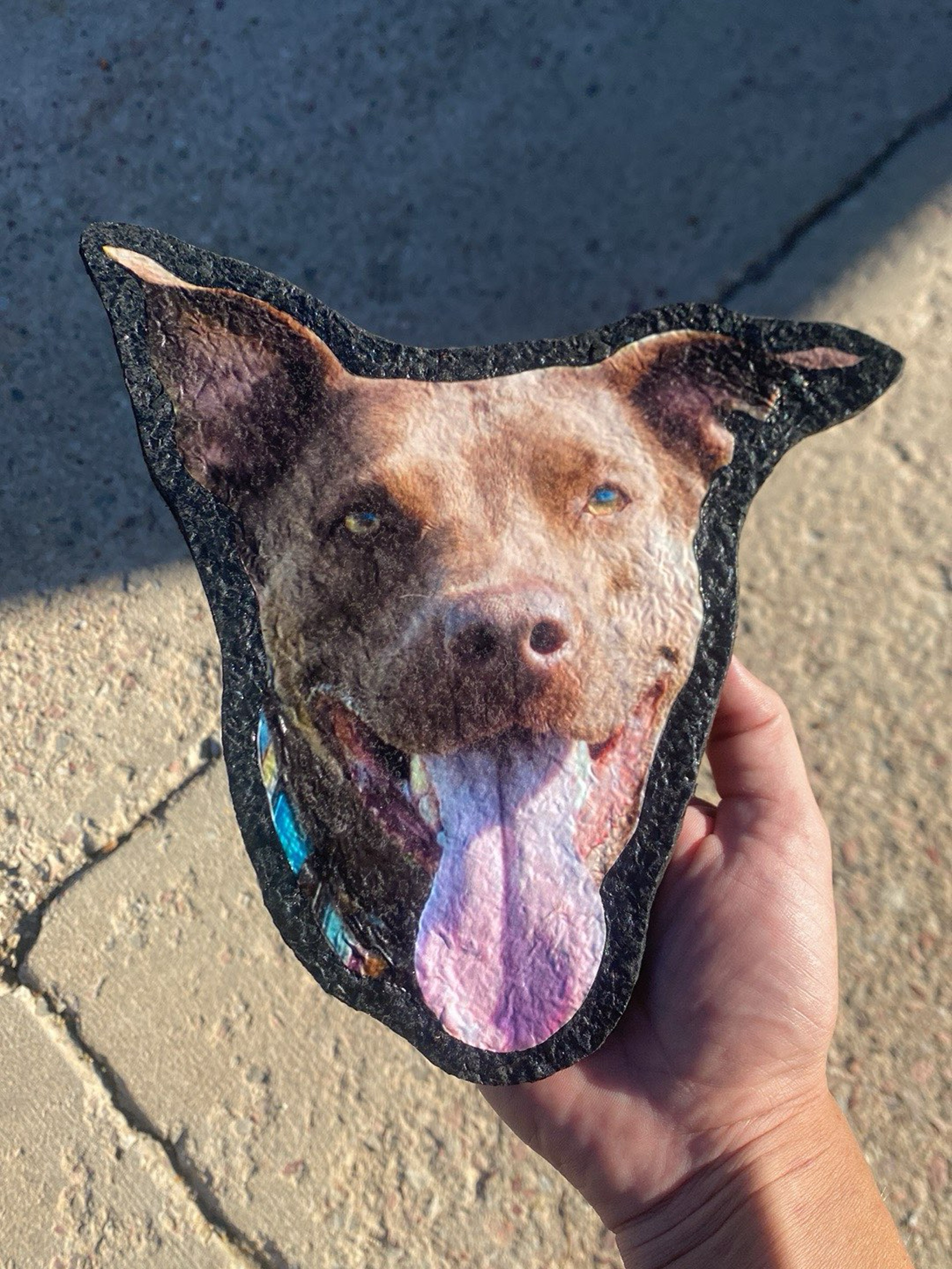 Turn your pet into a dabmat image 0