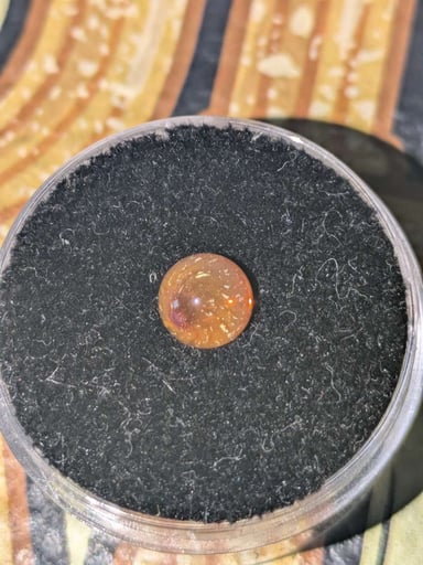 Preview pic of Darby Terp Pearls