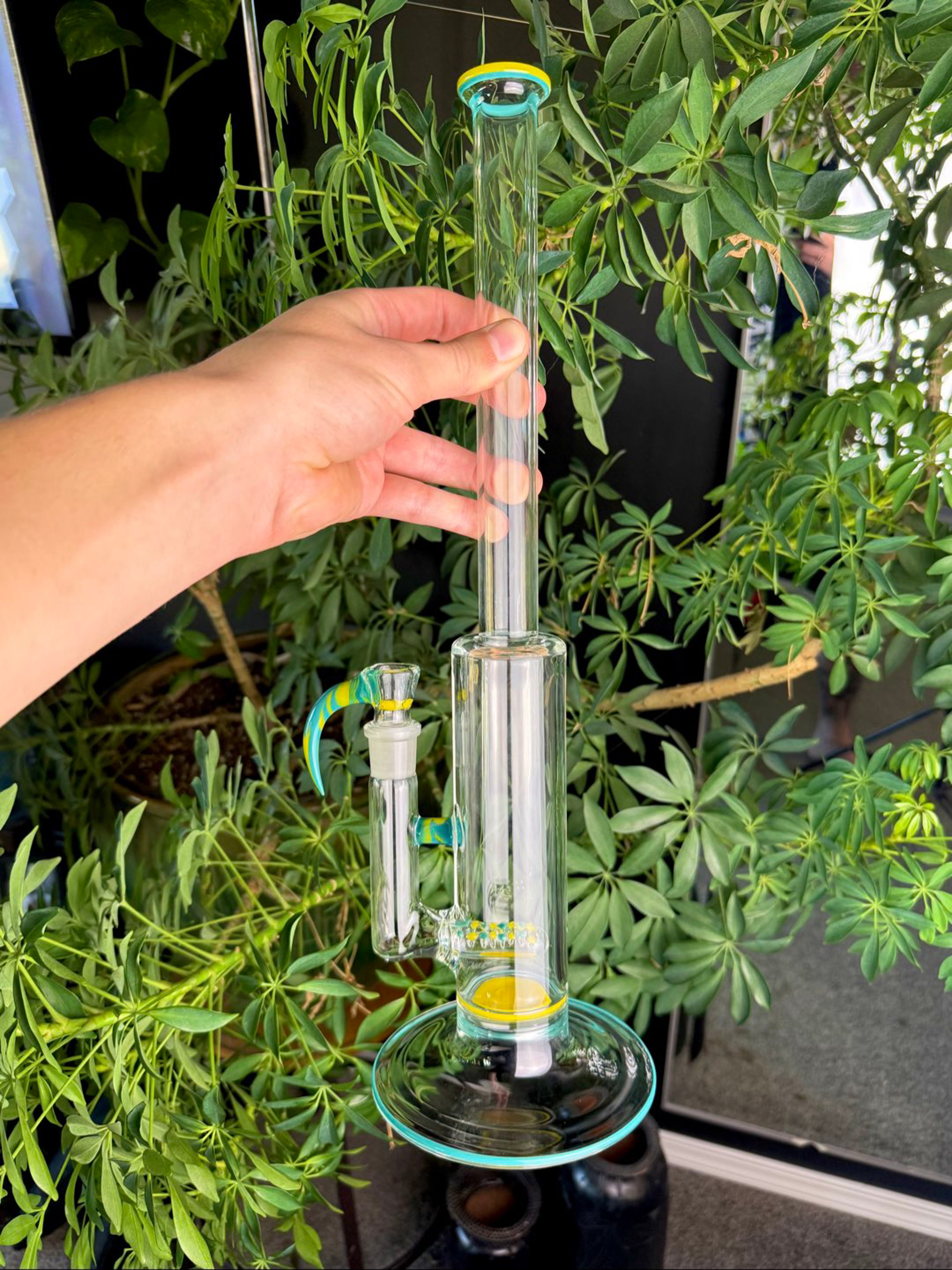 Preview pic of Aqua & Canary Stemline