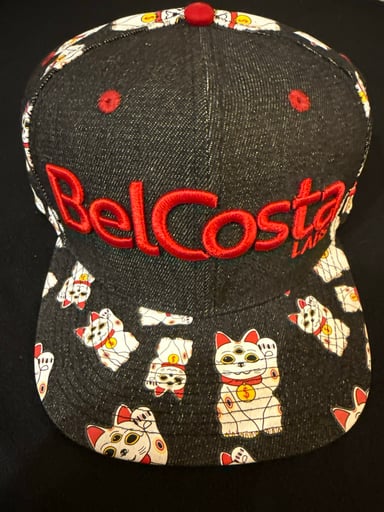 Preview pic of Belcosta Labs snap back hat