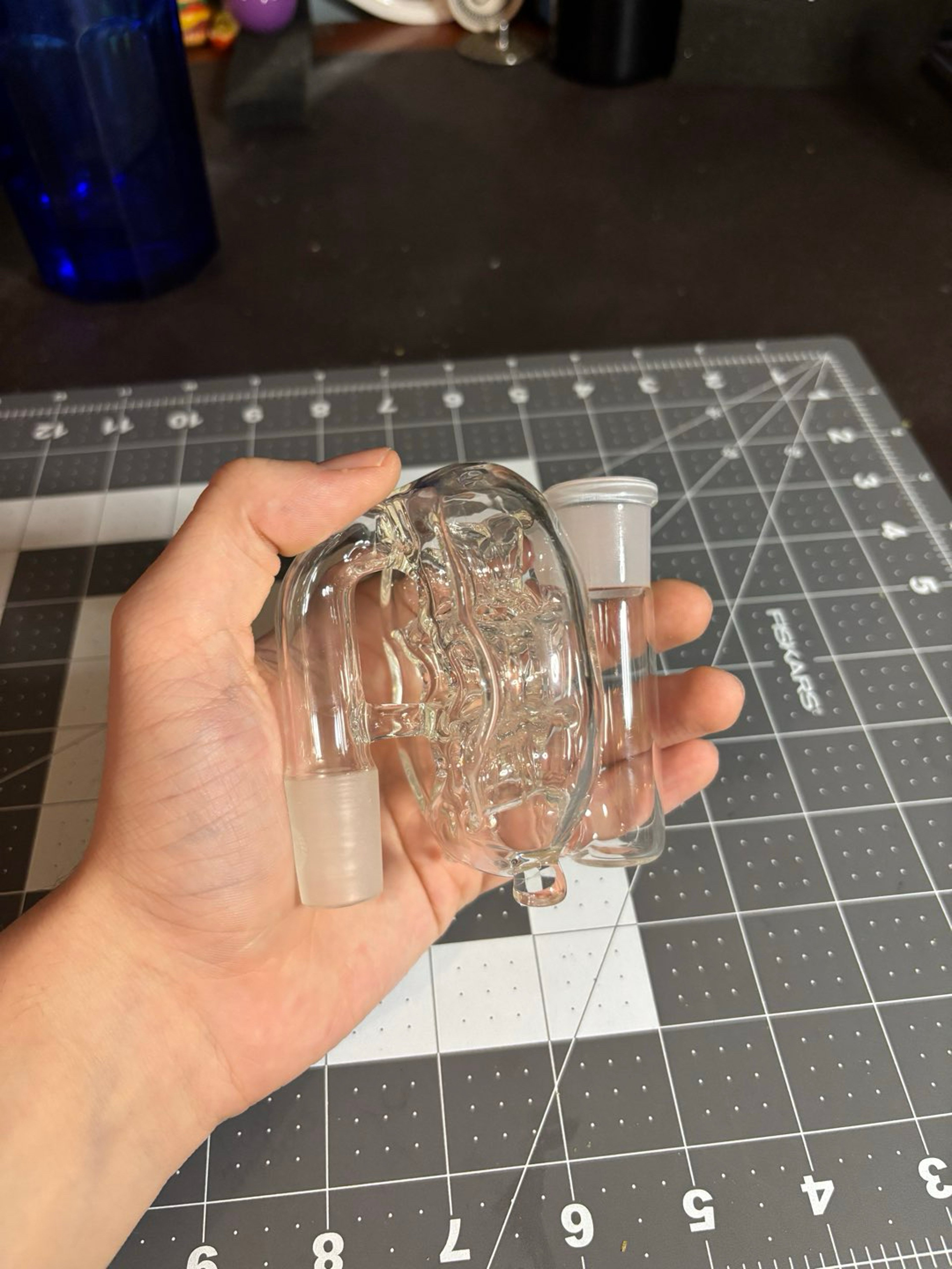 Preview pic of Swiss ash catch