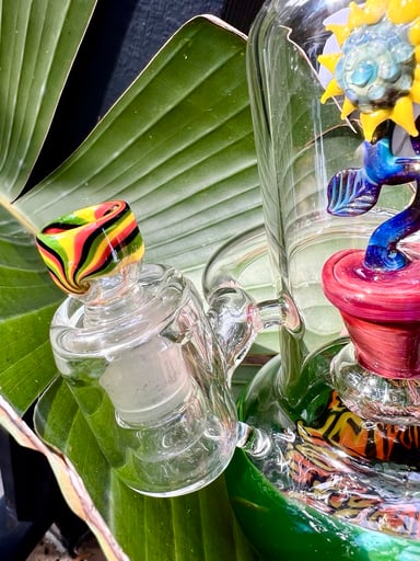 Preview pic of 🌻 Sun Flower