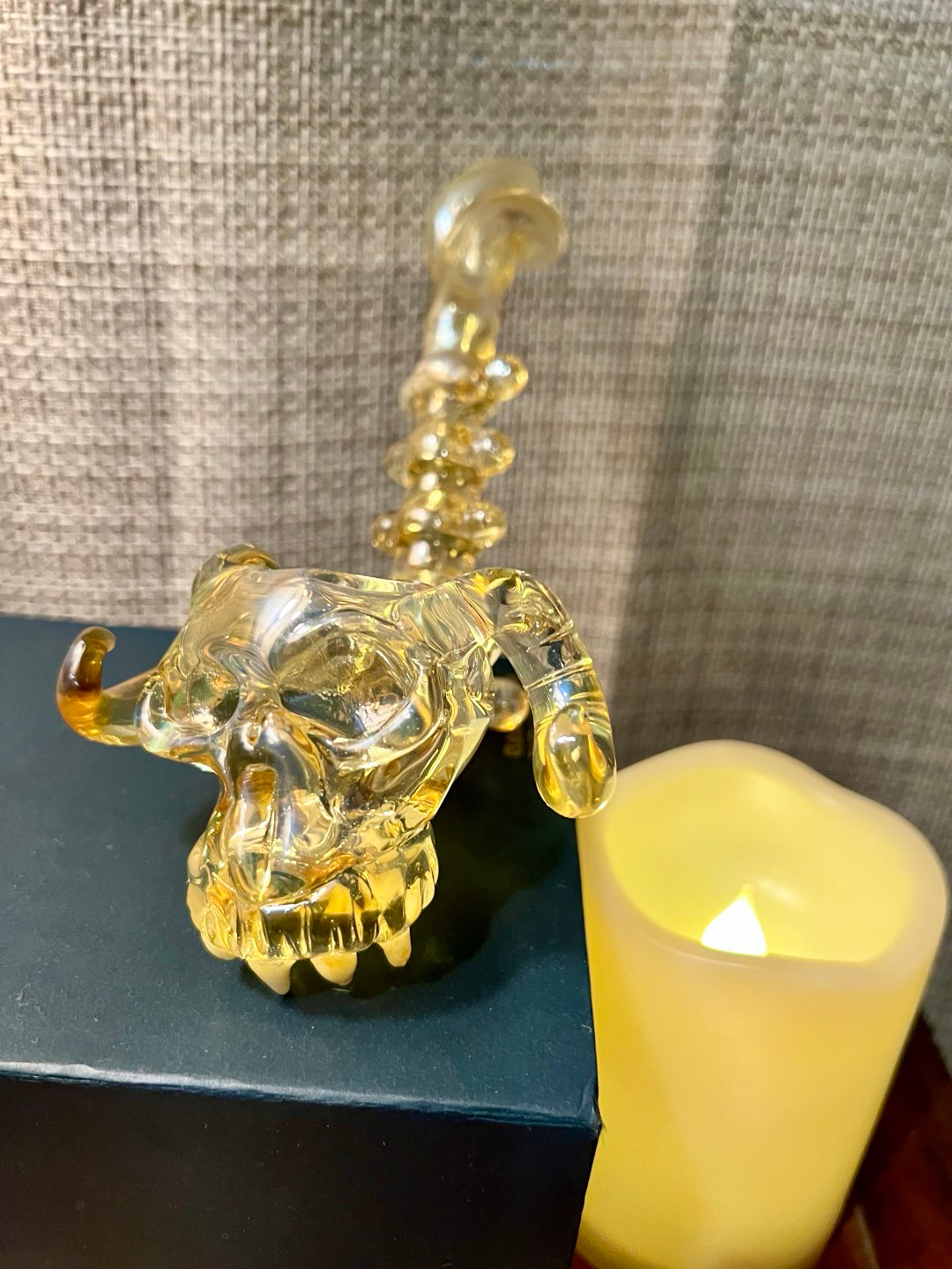 Teeth & Horns  🆕 image 0