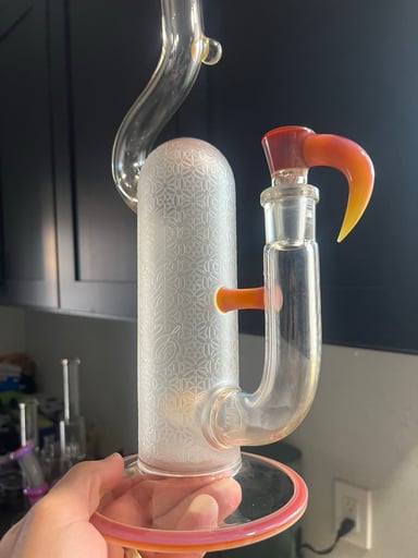 Preview pic of Full accent natty neck sovereignty