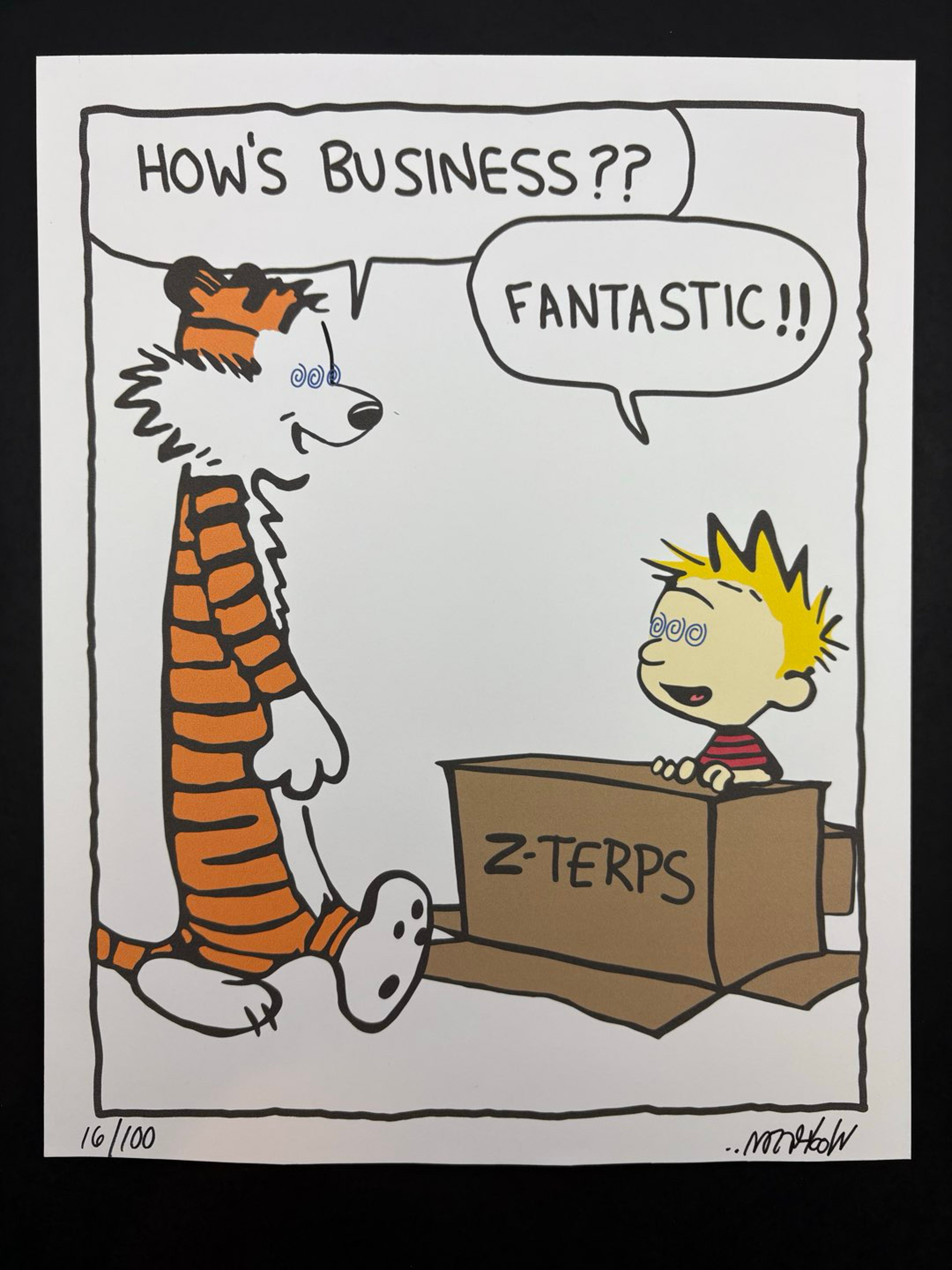 Wookerson Z-Terps image 0