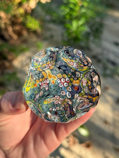 Preview pic of Jeremy Sinkus Coral Myco Nodule