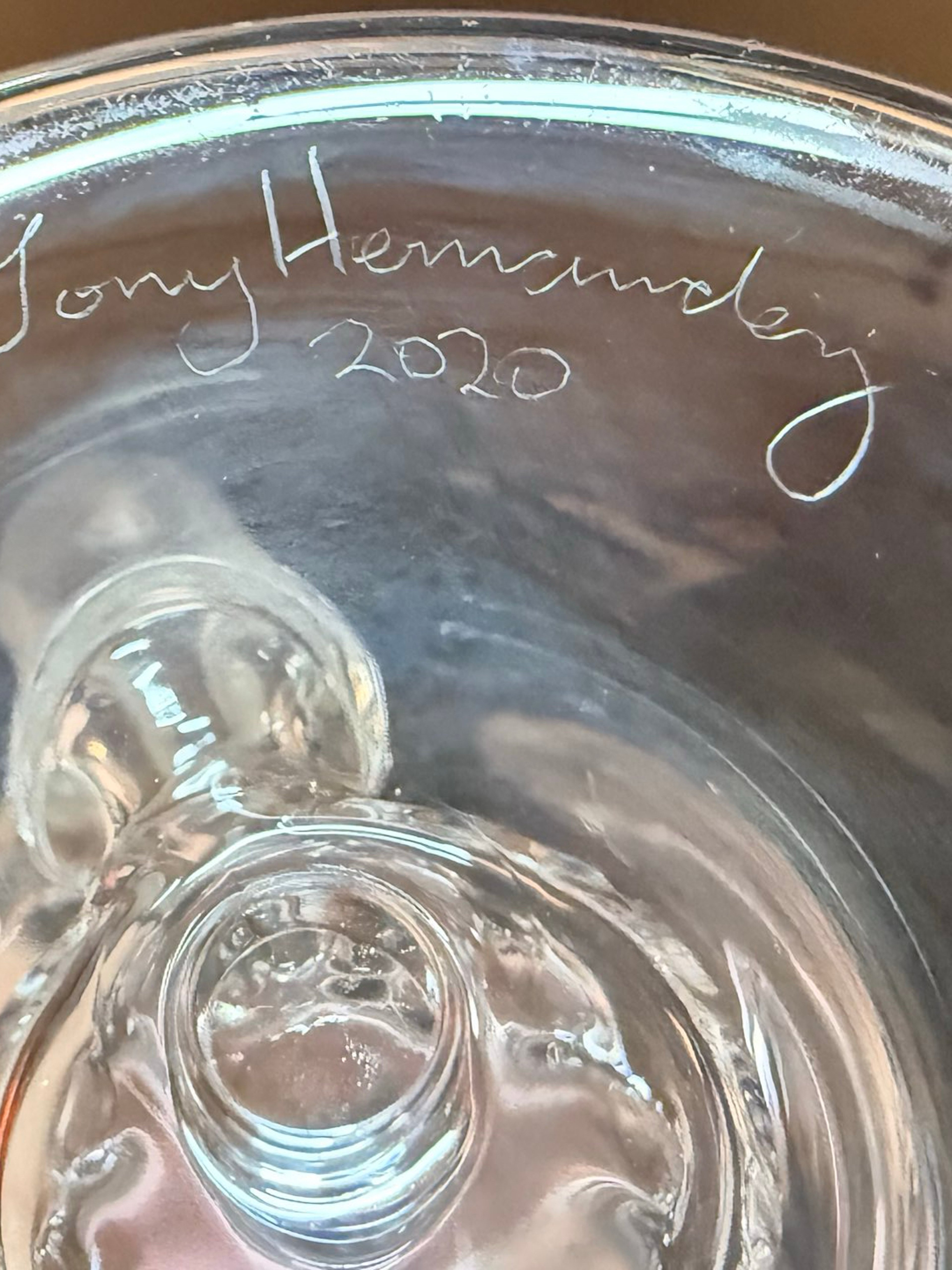 Tony Hernandez refined klein image 0