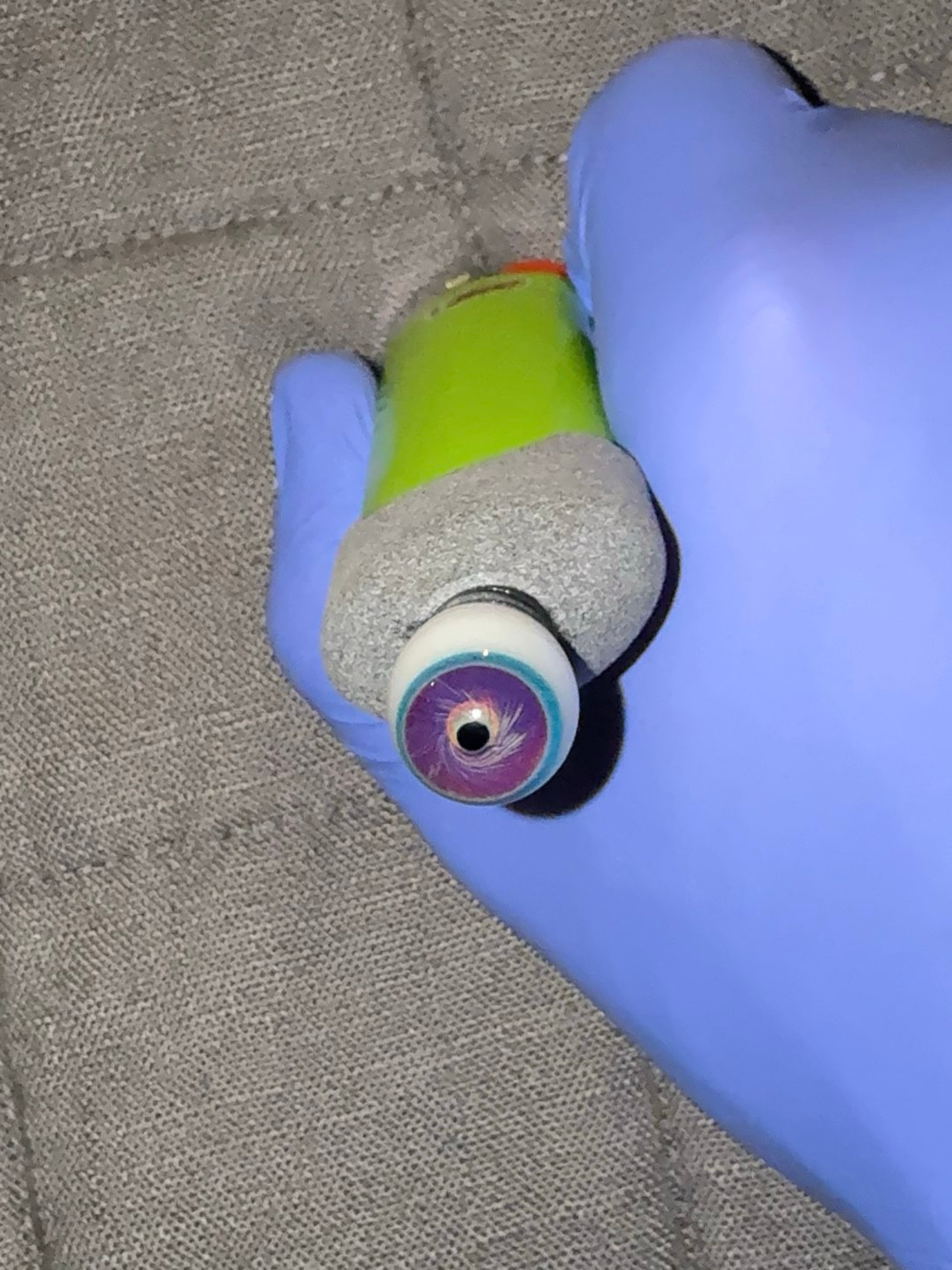 Preview pic of Bard Glass Packer Jawn