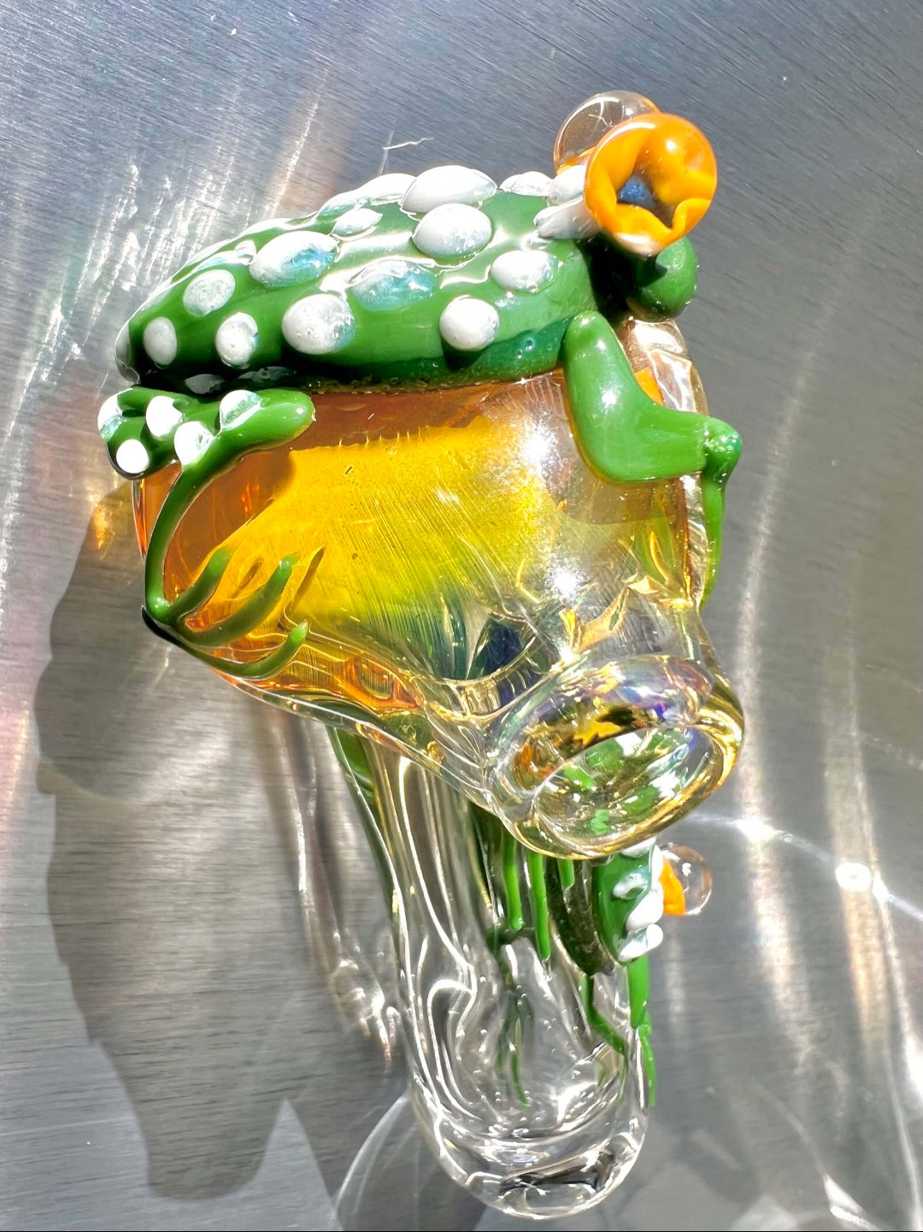 🐸 Frogs 🐸 image 0