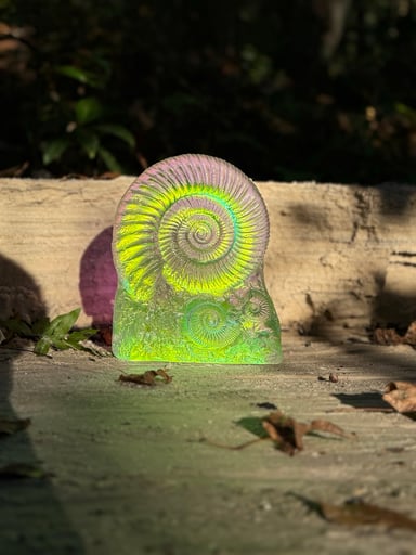 Preview pic of Jeremy Sinkus Aural Ammonite