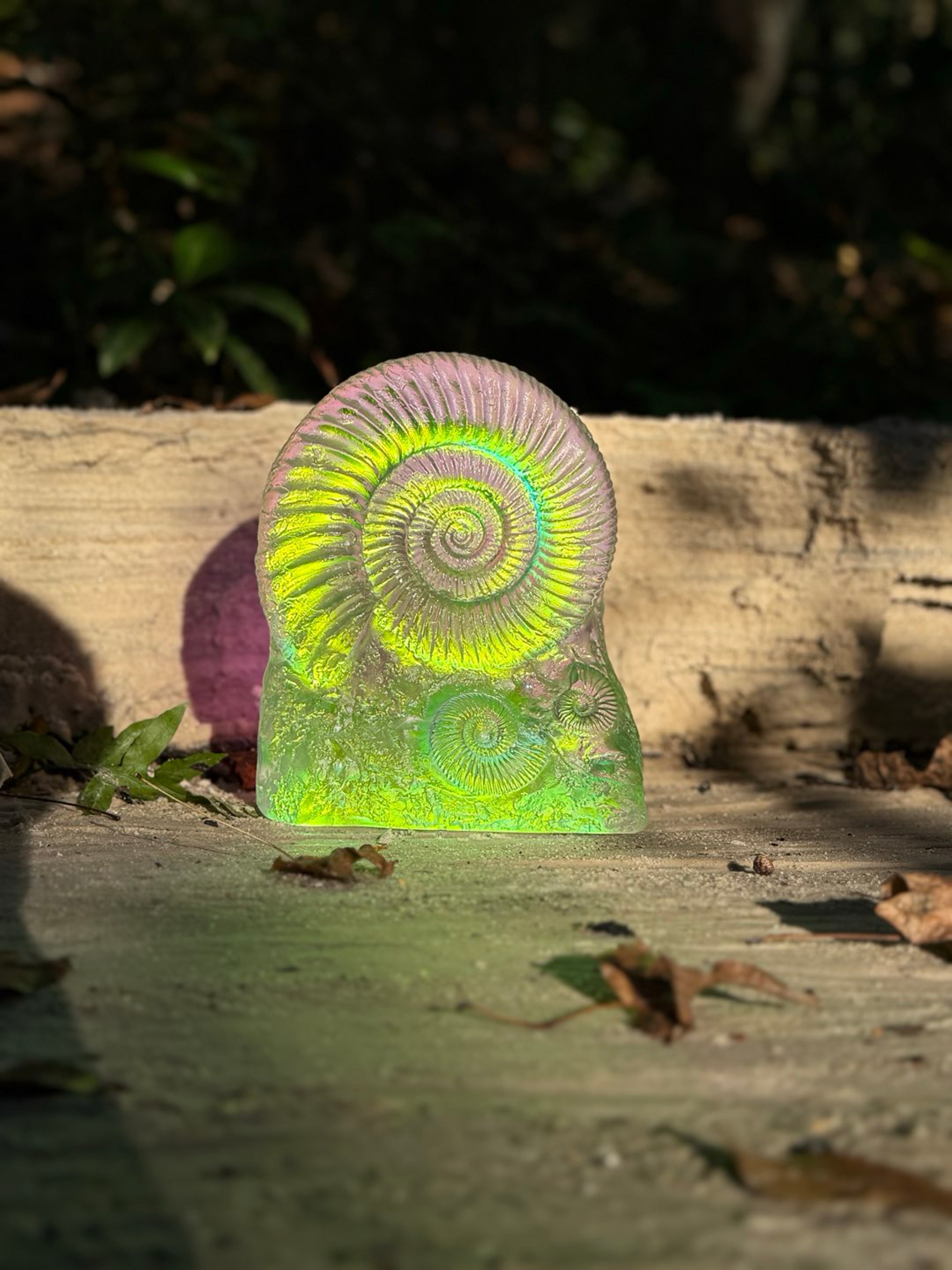 Preview pic of Jeremy Sinkus Aural Ammonite