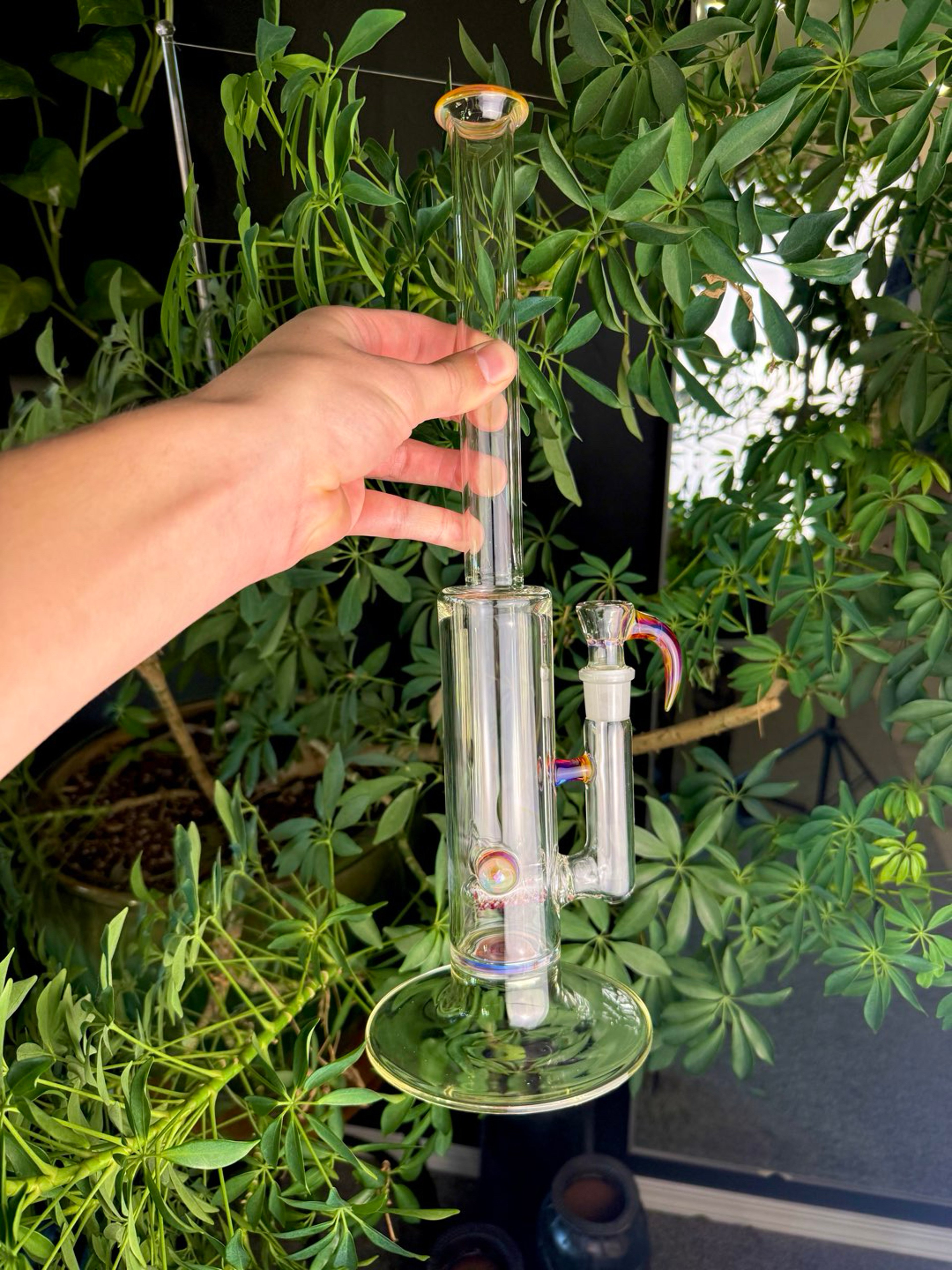 Amber Purple Downgrid image 0