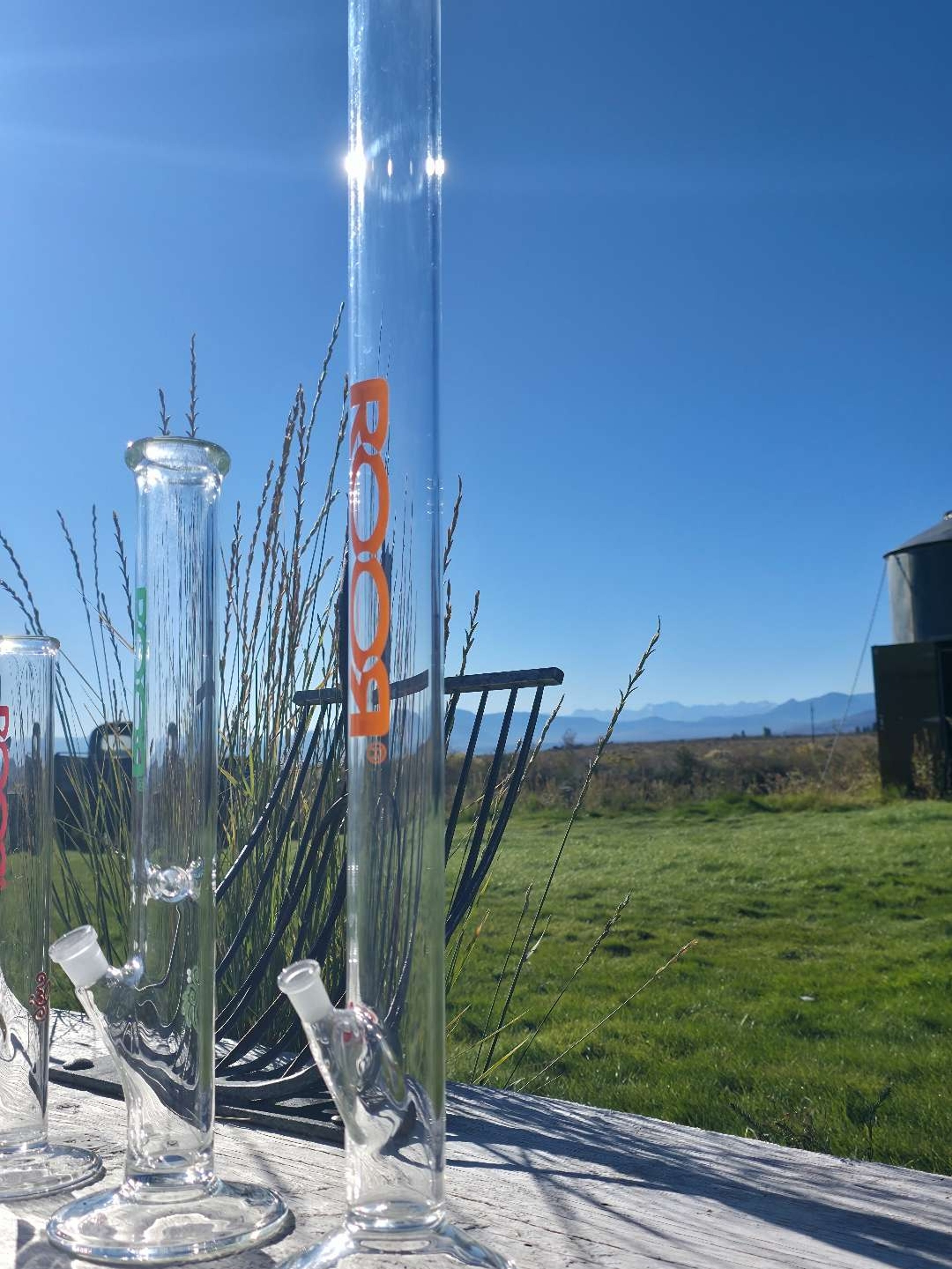 Preview pic of Ferguson roor