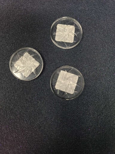 Preview pic of On point Glass Spinner Disc cap