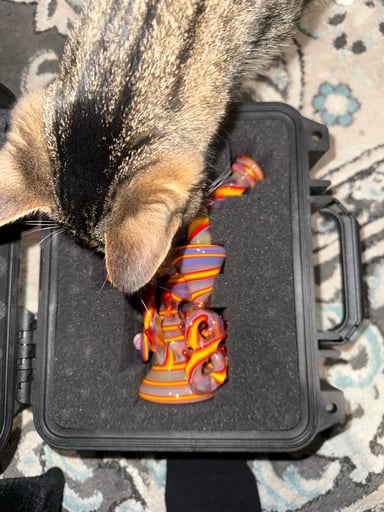 Preview pic of 23 Glass Dual Uptake Recycler