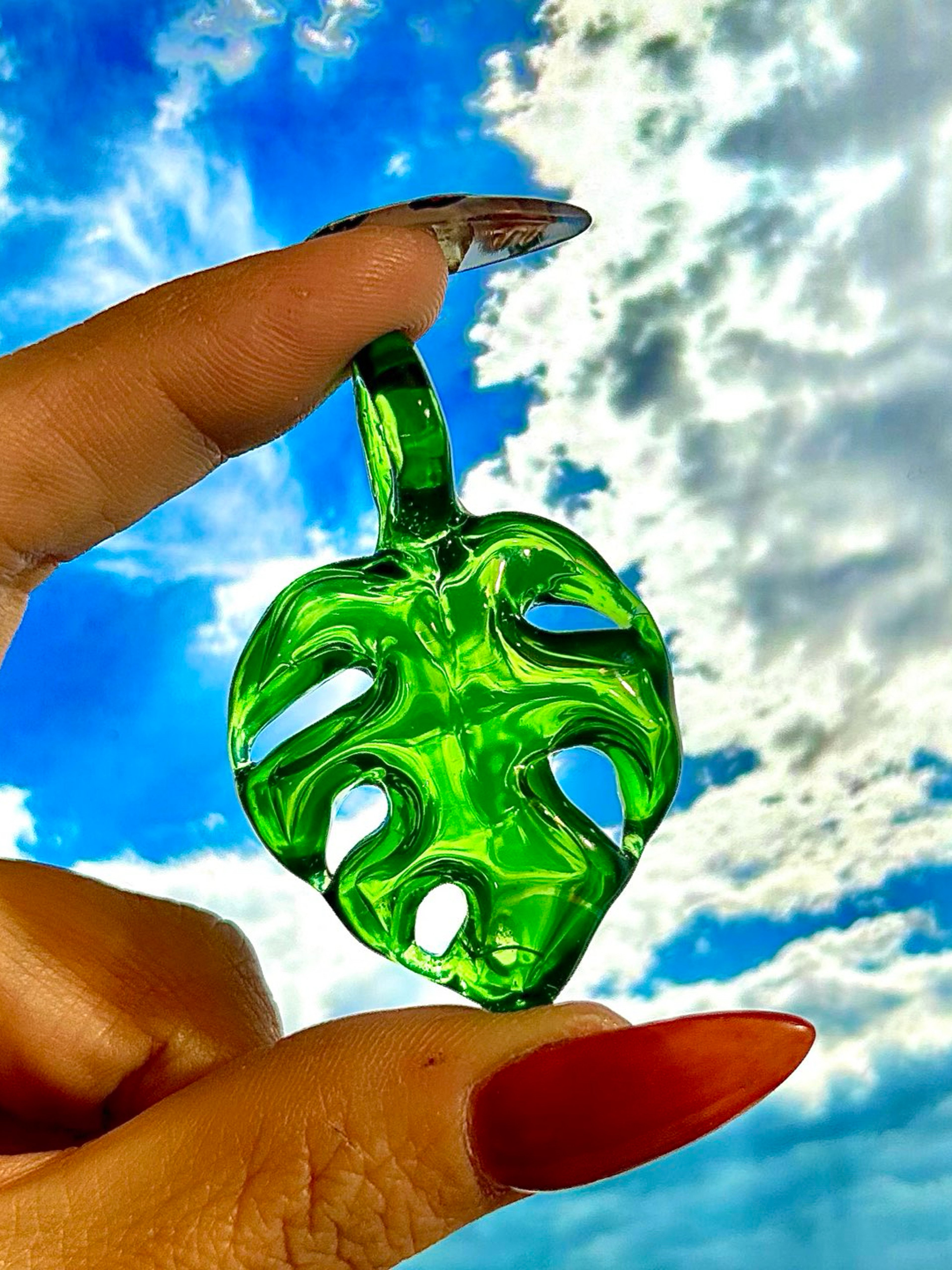 Preview pic of Hallow monstera