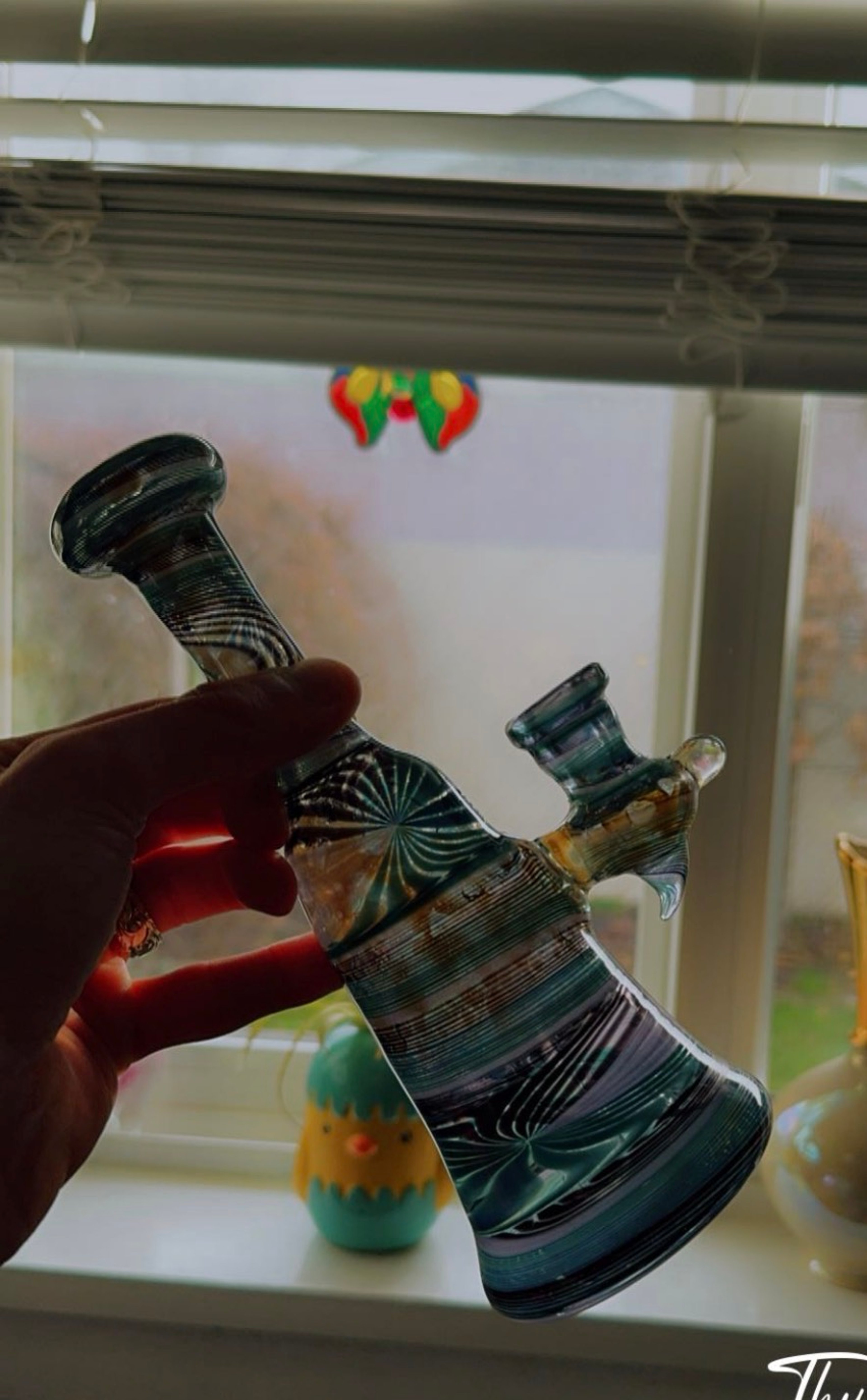 Preview pic of Blue Doug taco