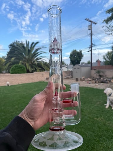 Preview pic of Trades welcomed   Mini3 to Inv 4  Pa Pomegranate