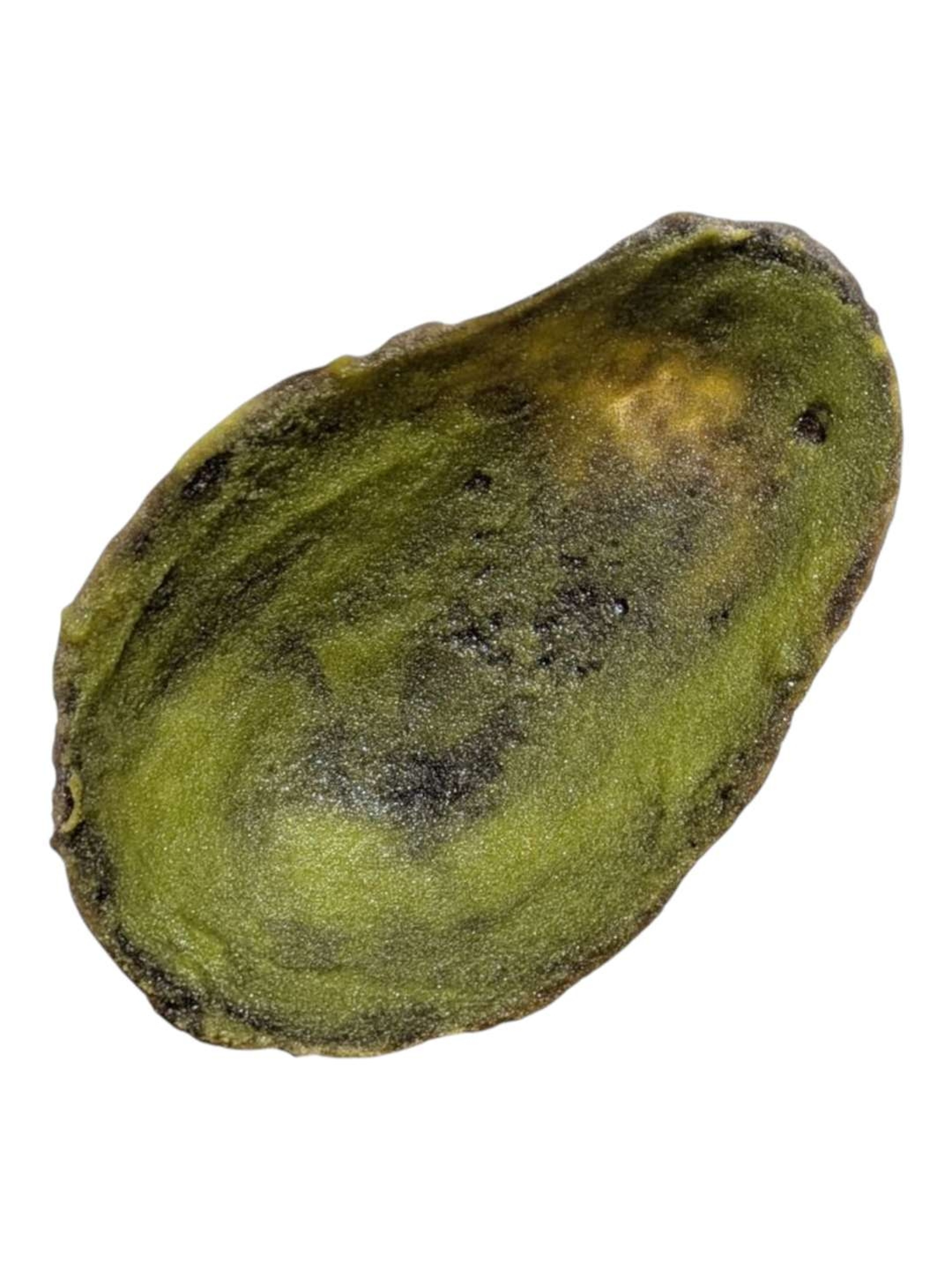 Preview pic of Eriko Kobayashi "Avocado Peel" Sculpture