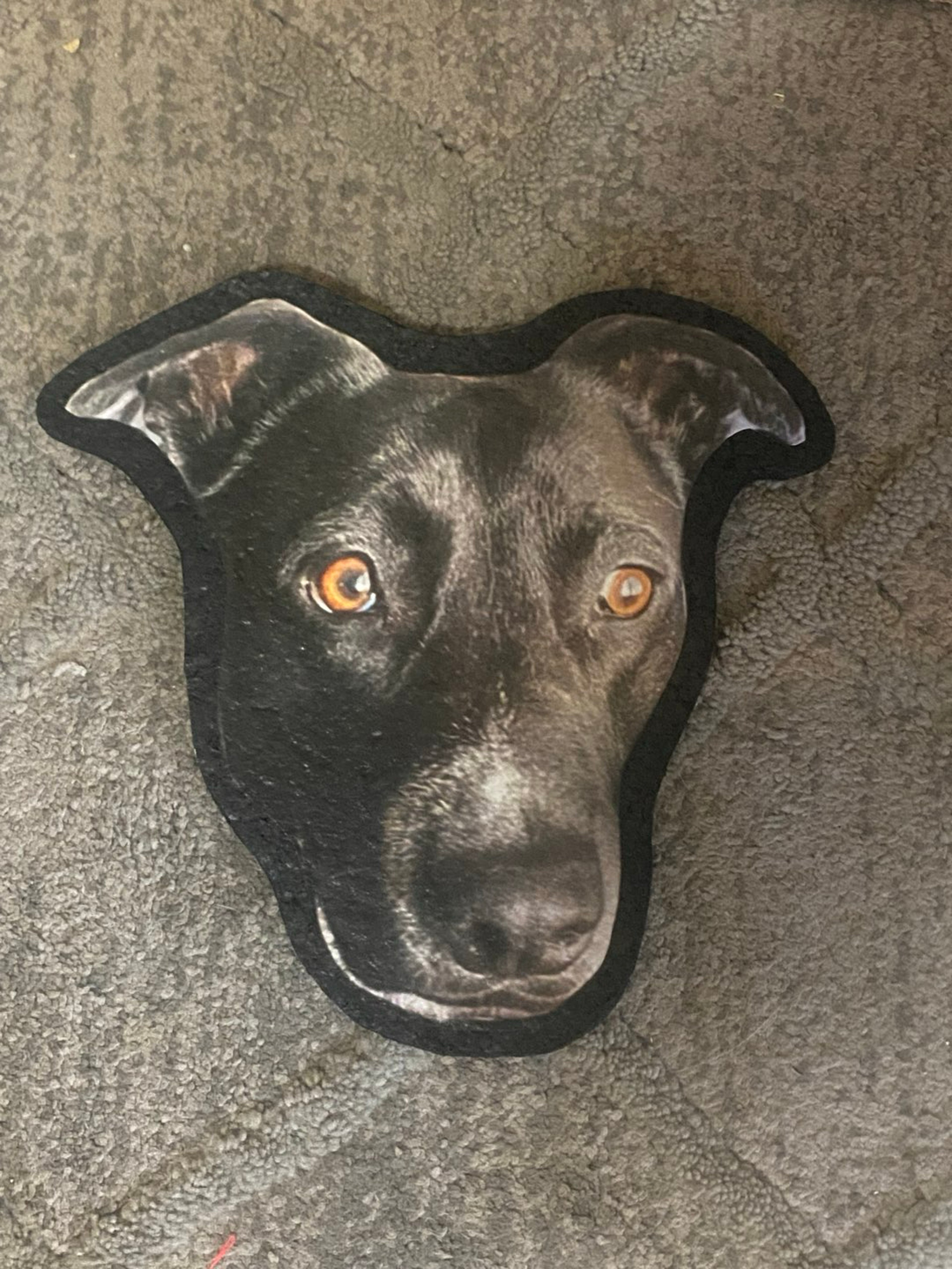 Your dog on a mat image 0