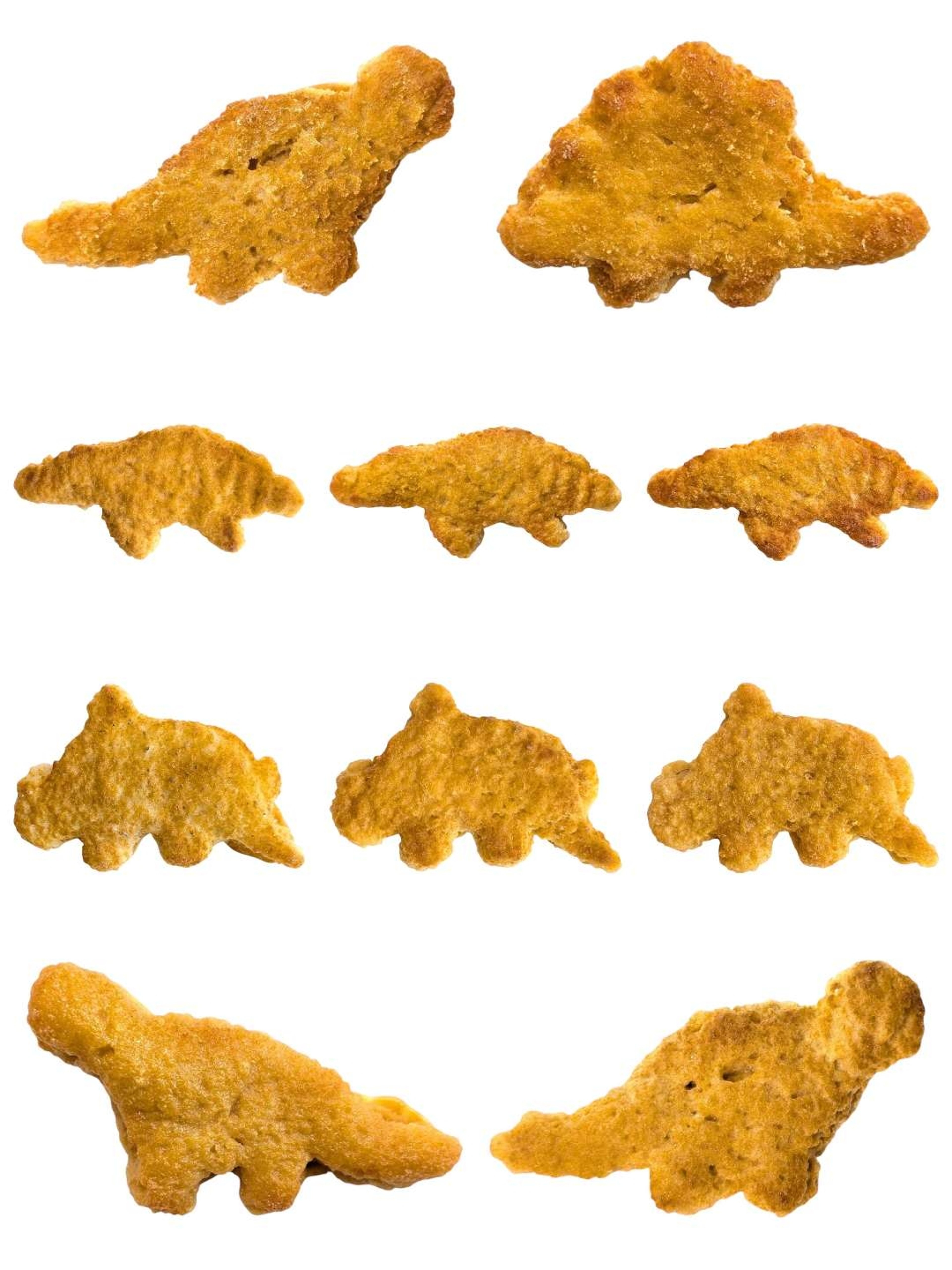 Eriko Kobayashi "Dino Nugget" Sculptures image 0