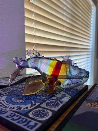 Preview pic of Brandon Martin whale