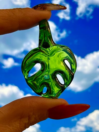 Preview pic of Monstera pendat