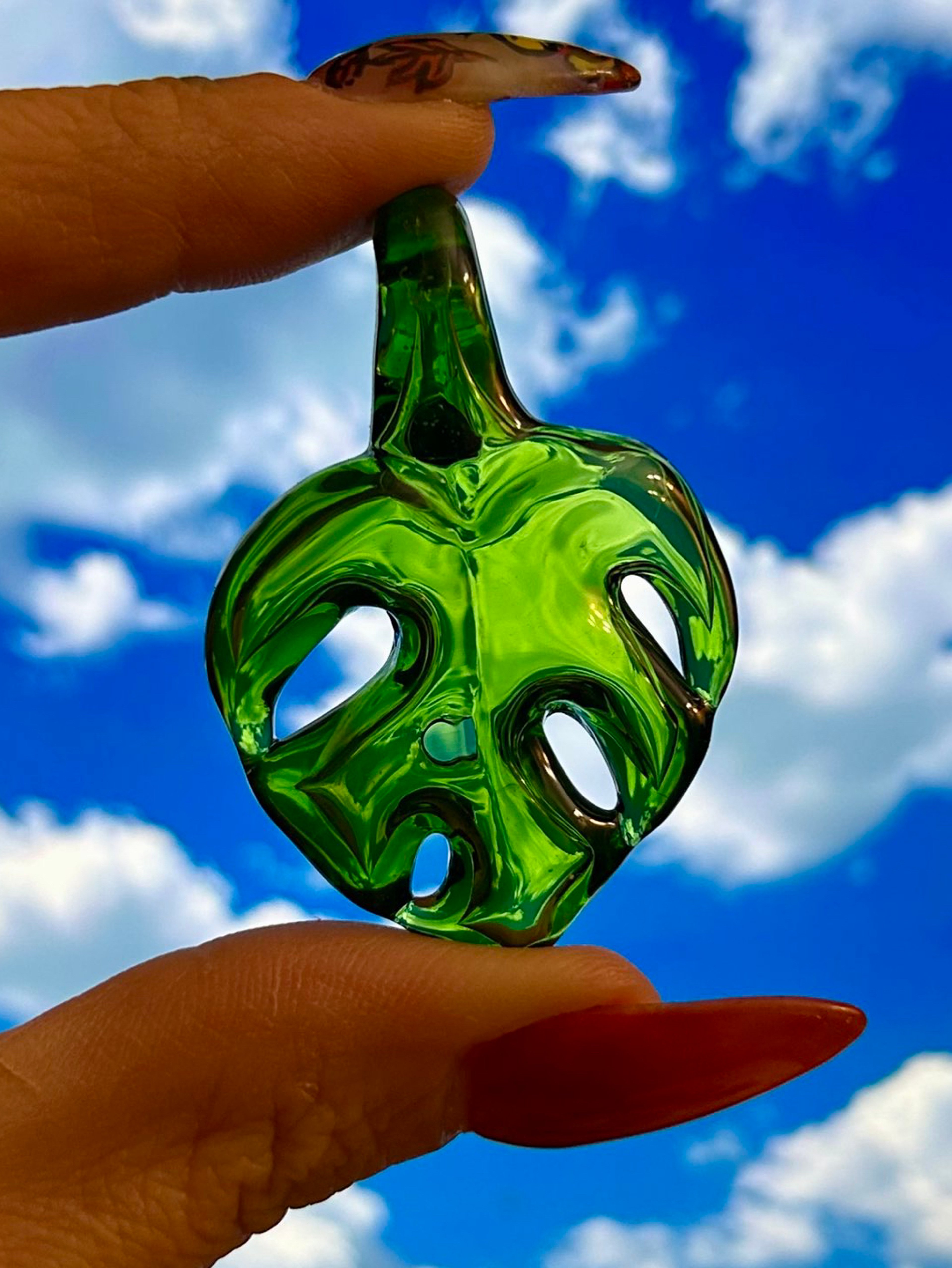 Monstera pendat image 0