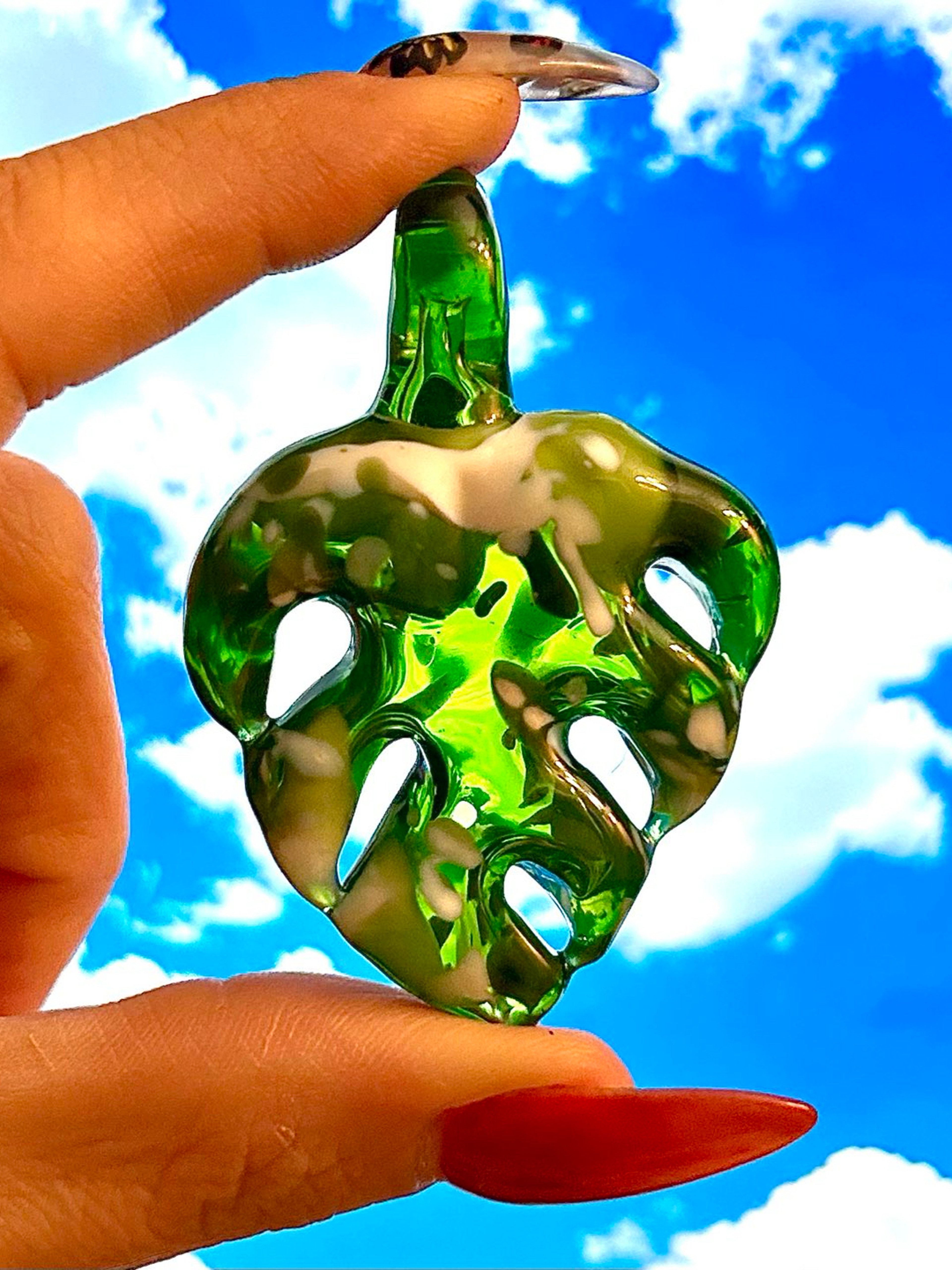 Variegated monstera image 0