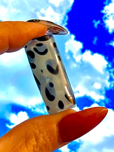 Preview pic of Cheetah tip