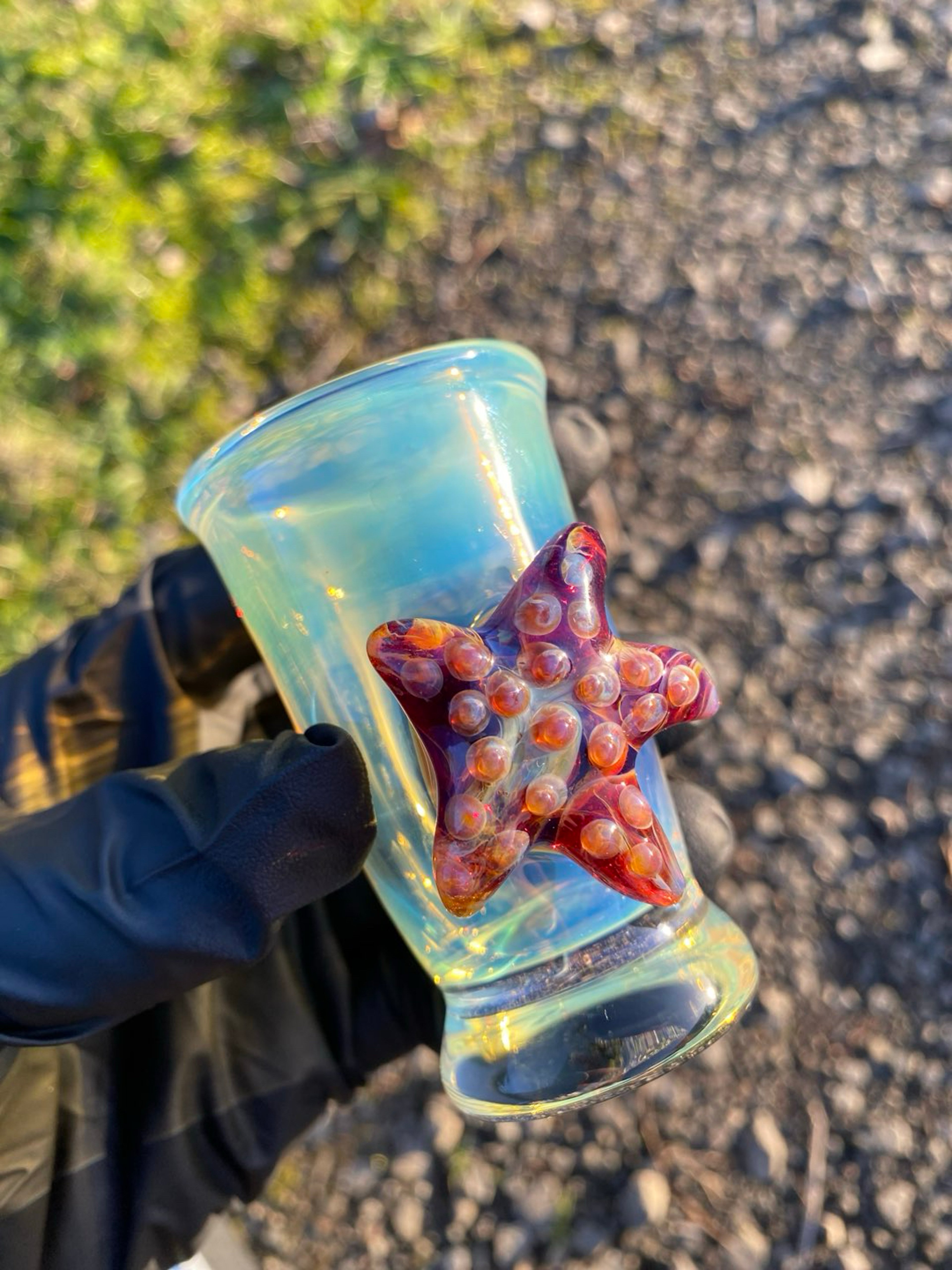 Preview pic of Starfish Shotglass