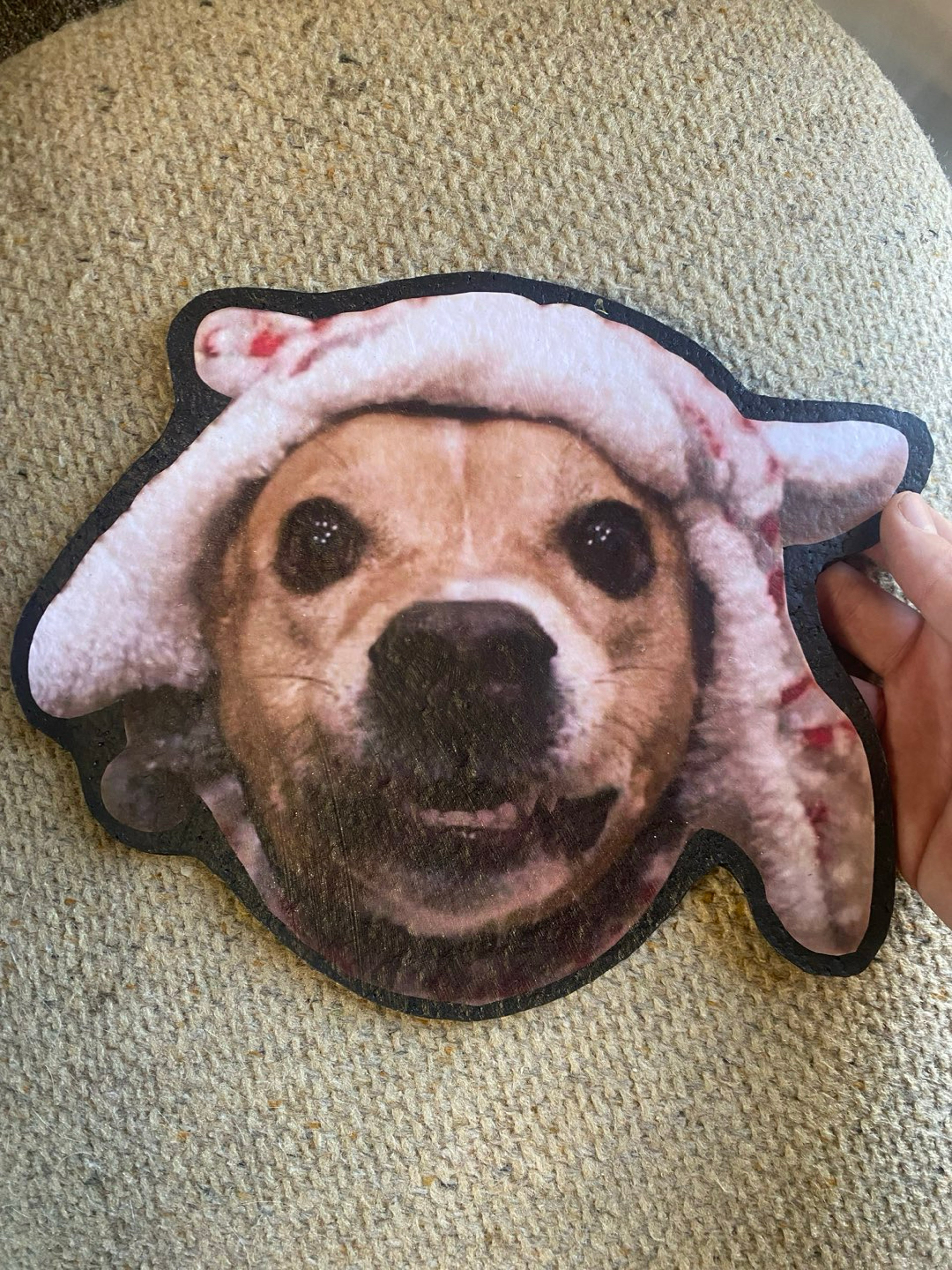 Your pet on a moodmat image 0